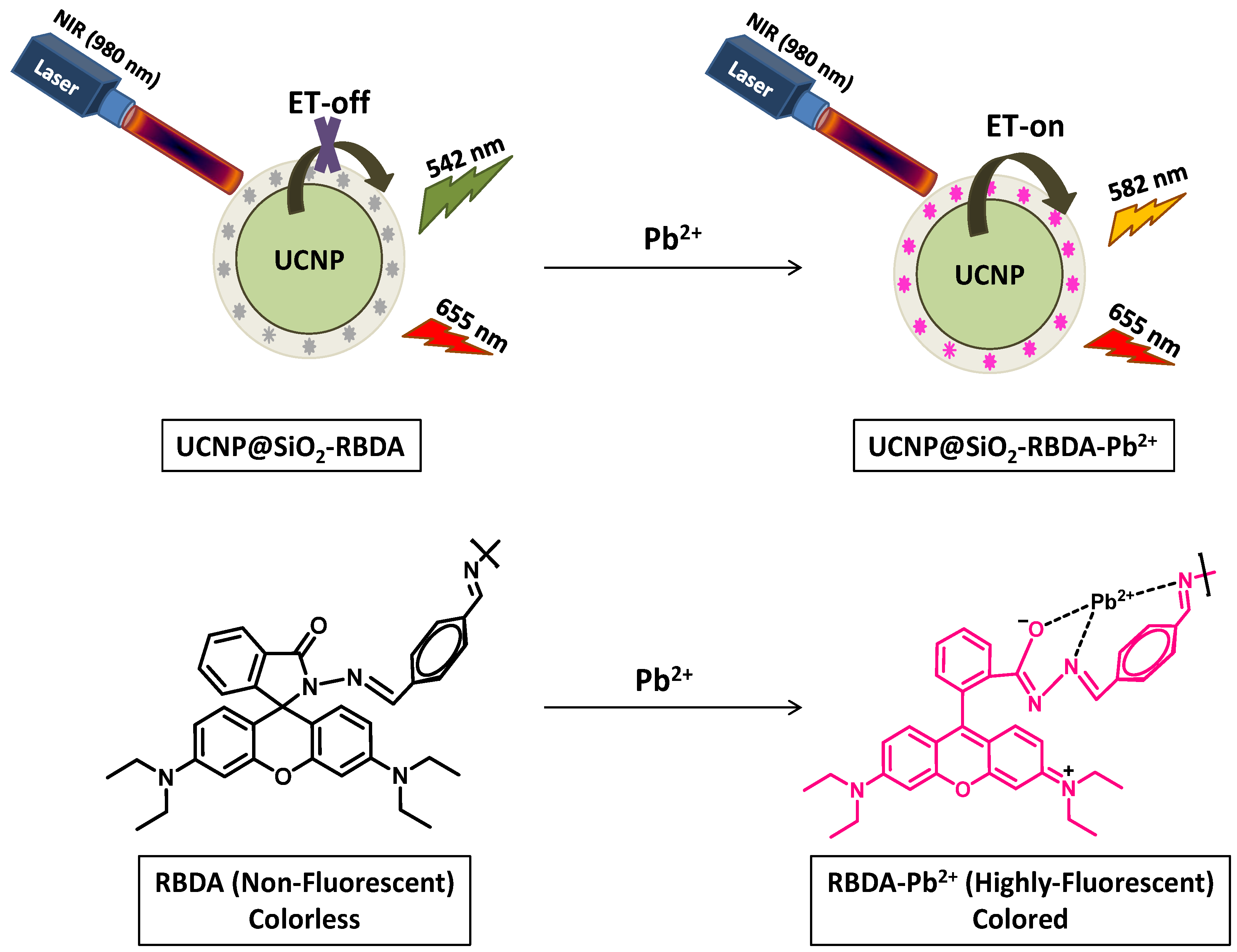 Chemosensors 11 00305 g001 Chemosensors 11 00305 g001