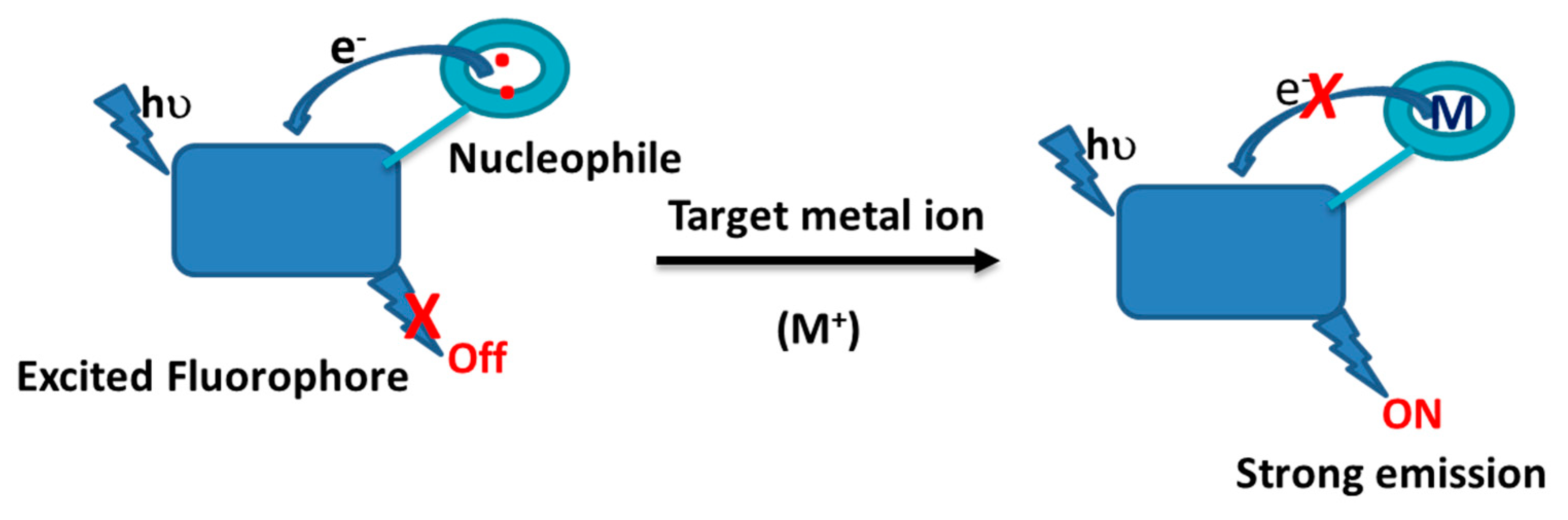 Chemosensors 11 00308 sch001 Chemosensors 11 00308 sch001