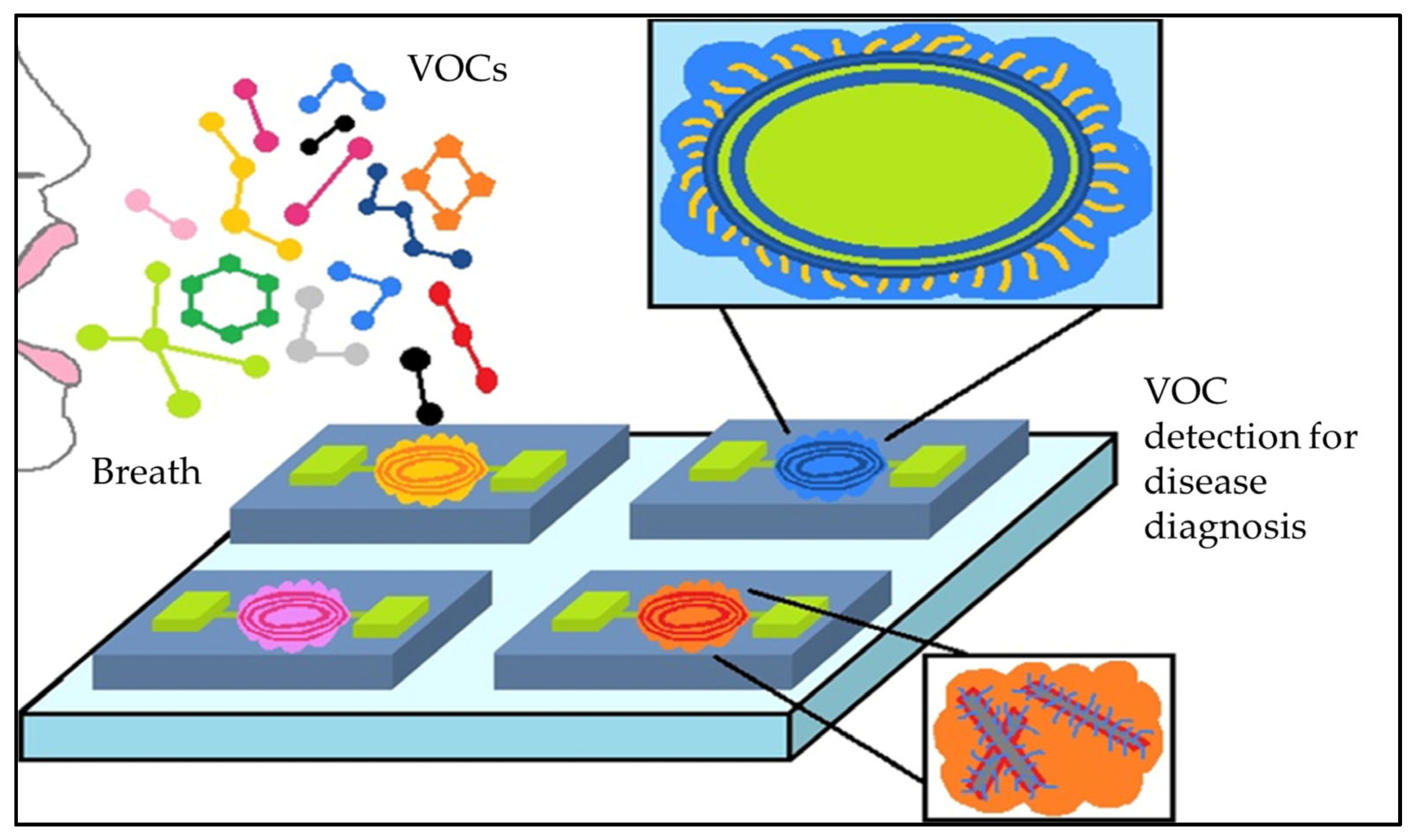 Chemosensors 11 00317 g001