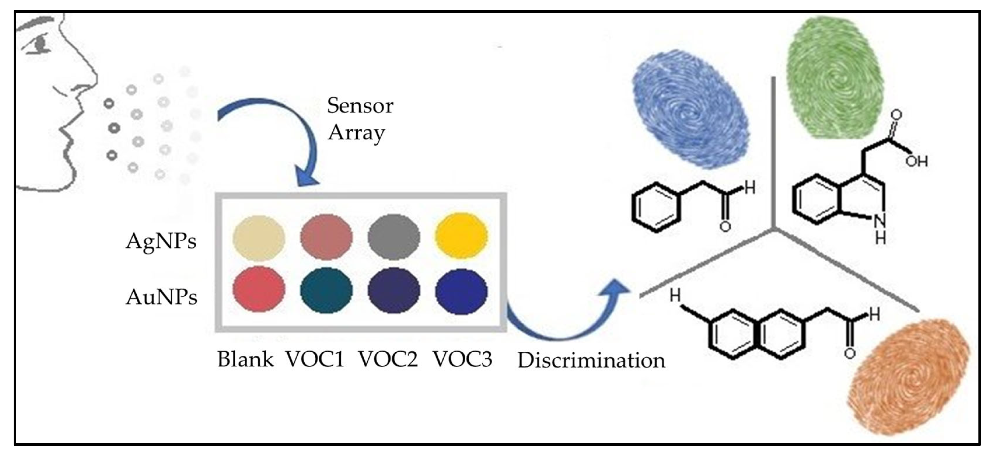Chemosensors 11 00317 g002