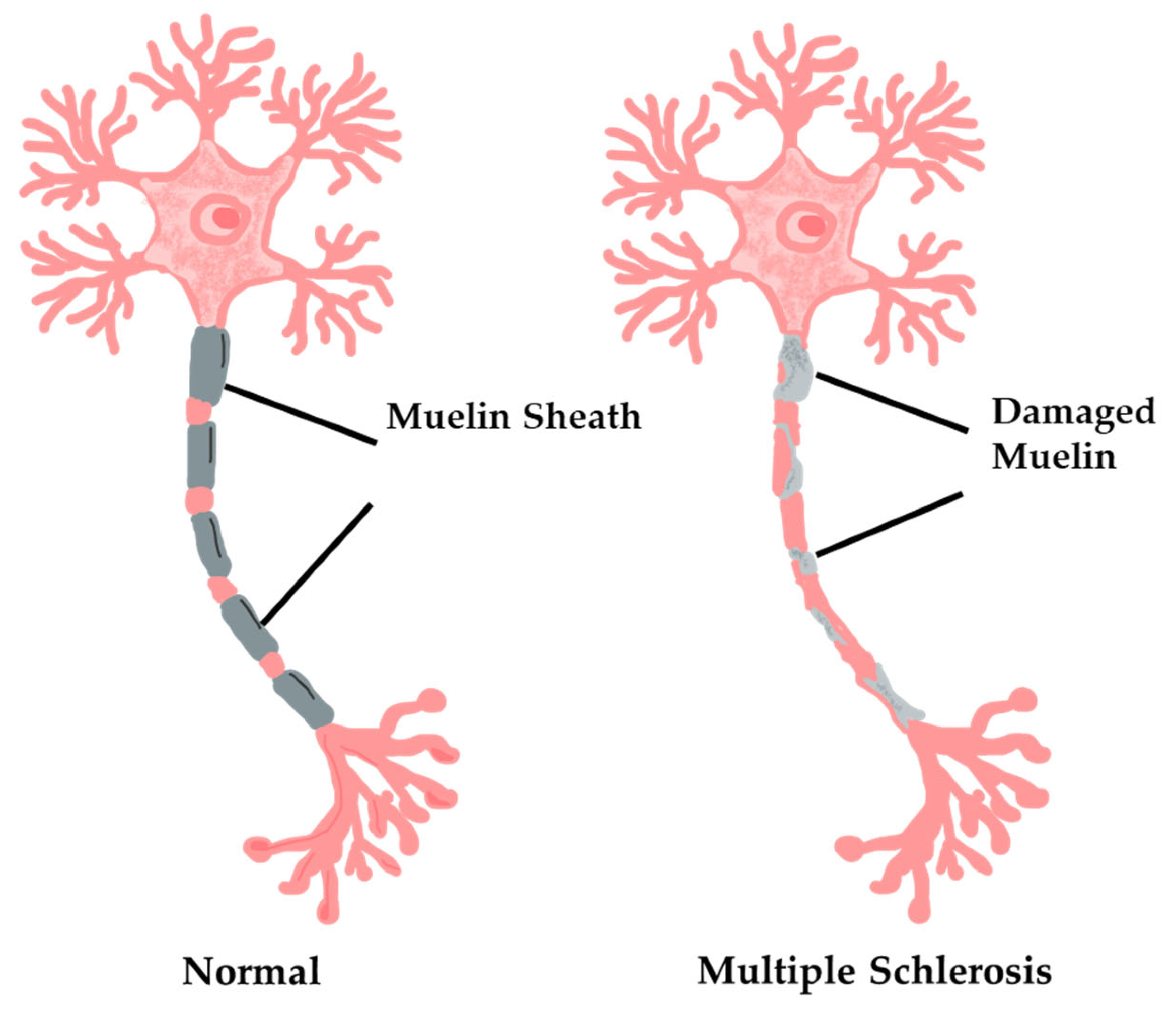 Chemosensors 11 00317 g007