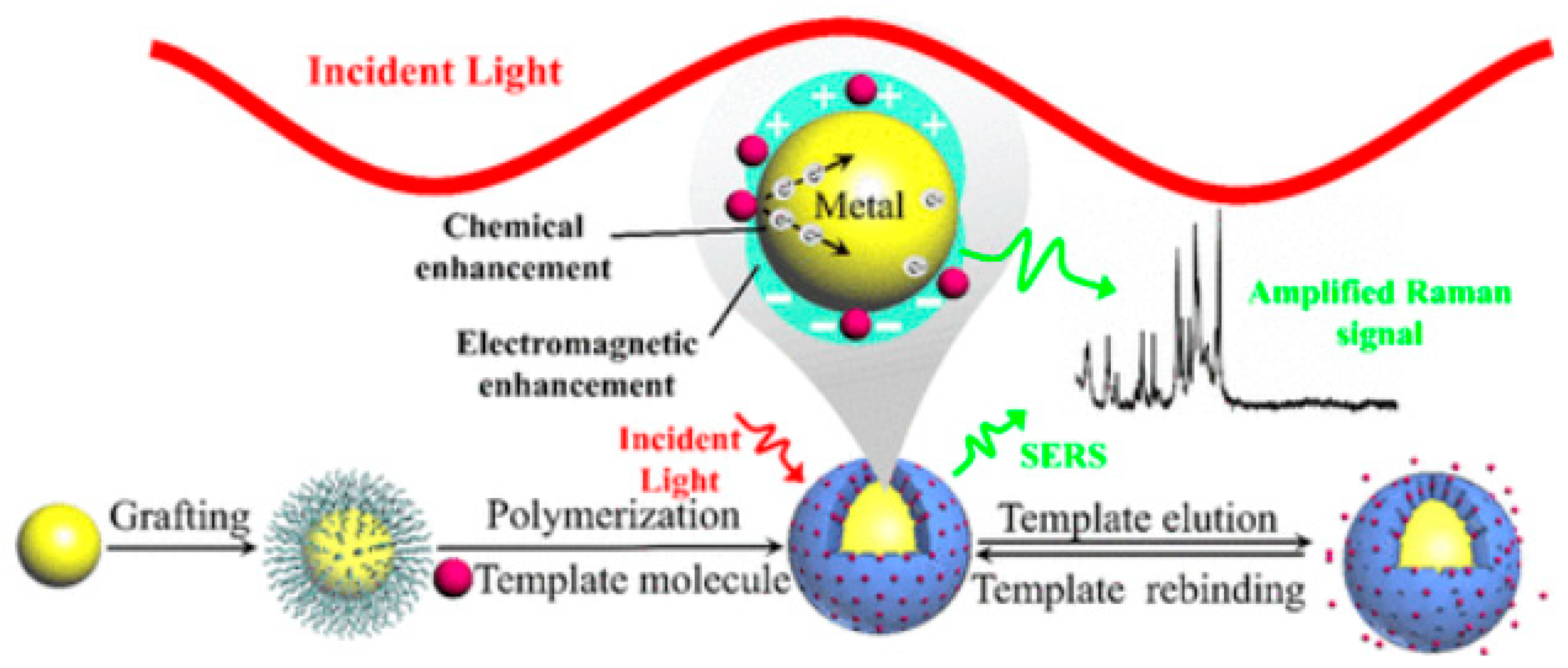 Chemosensors 11 00318 g005 Chemosensors 11 00318 g005
