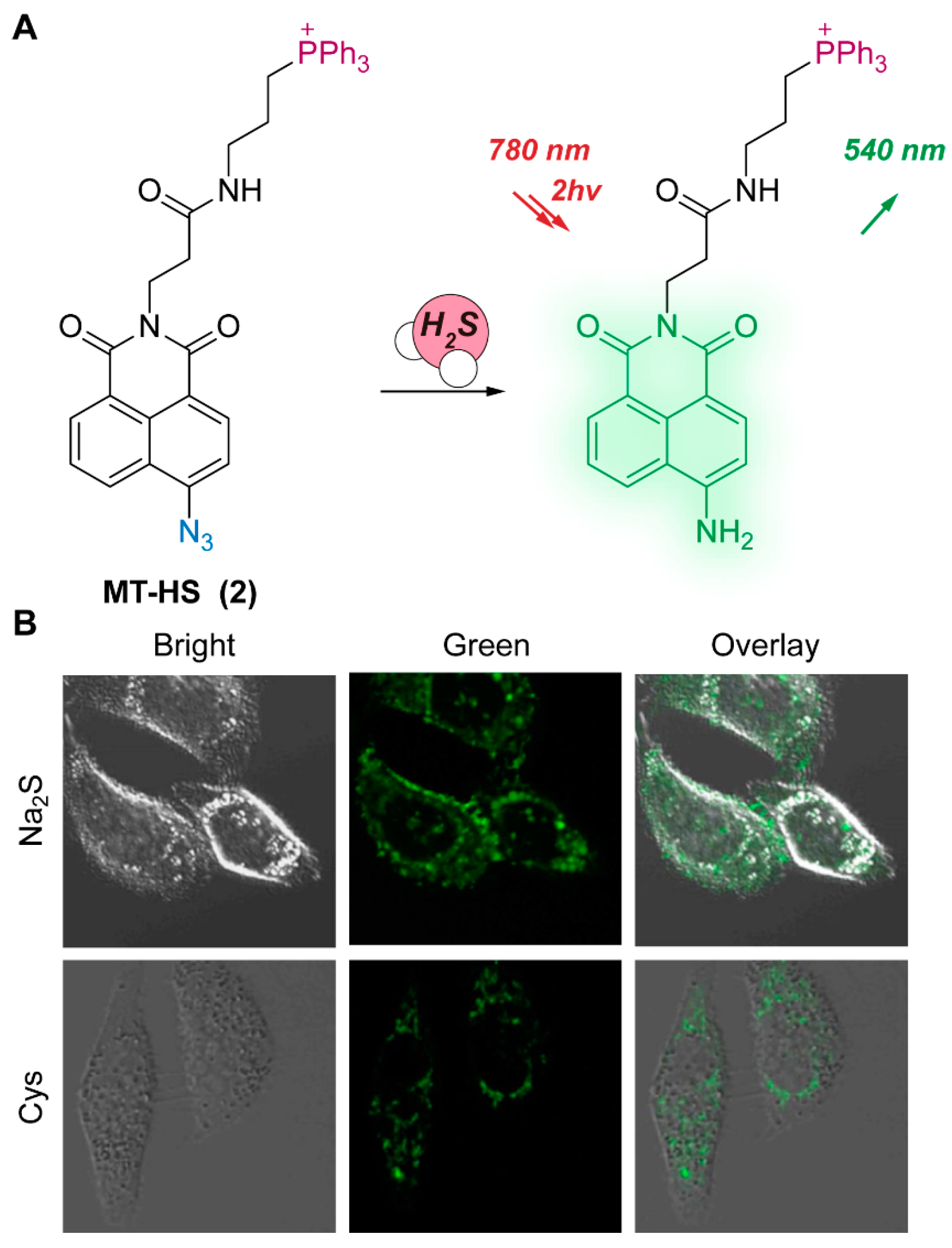 Chemosensors 11 00333 g002 Chemosensors 11 00333 g002