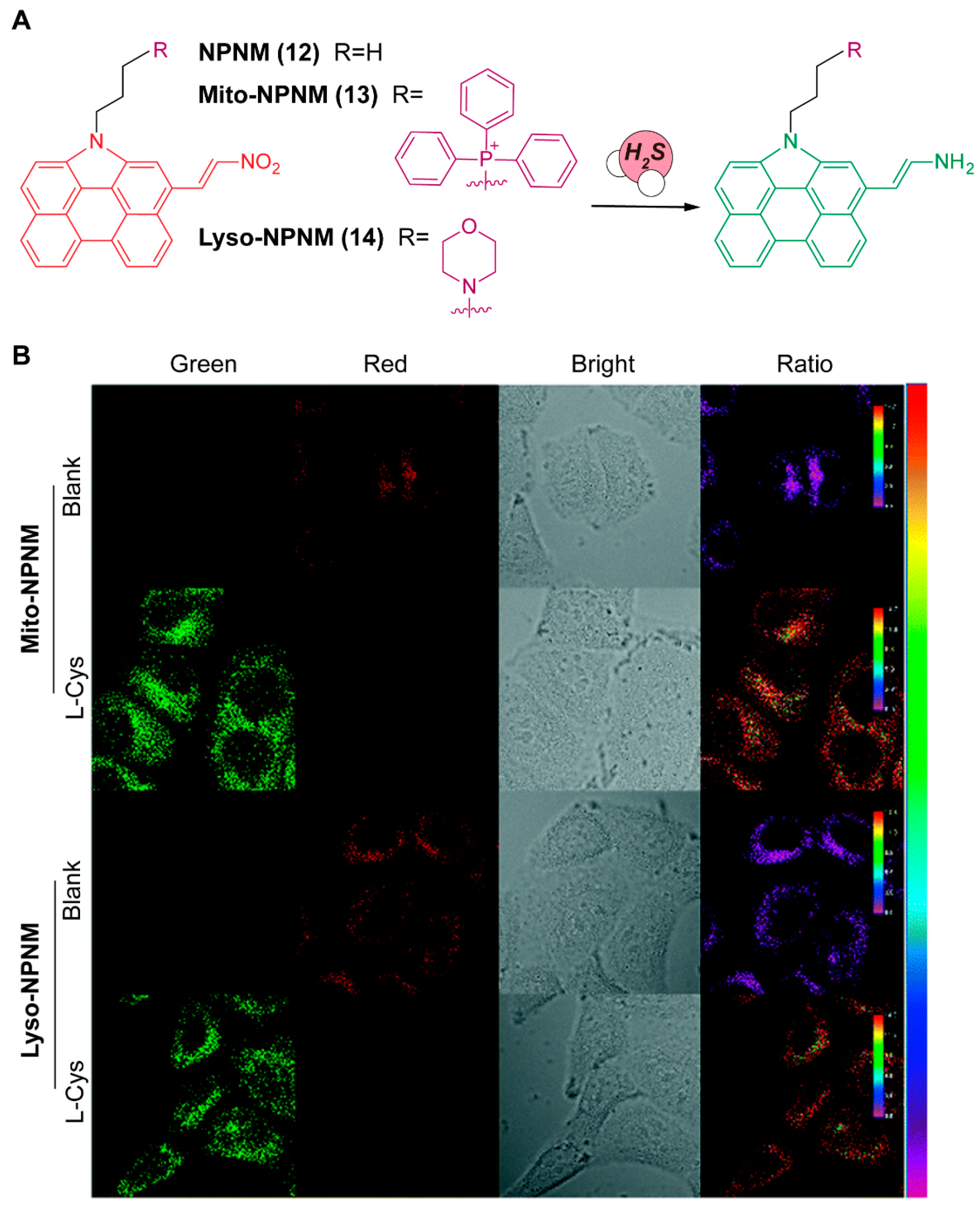 Chemosensors 11 00333 g005 Chemosensors 11 00333 g005