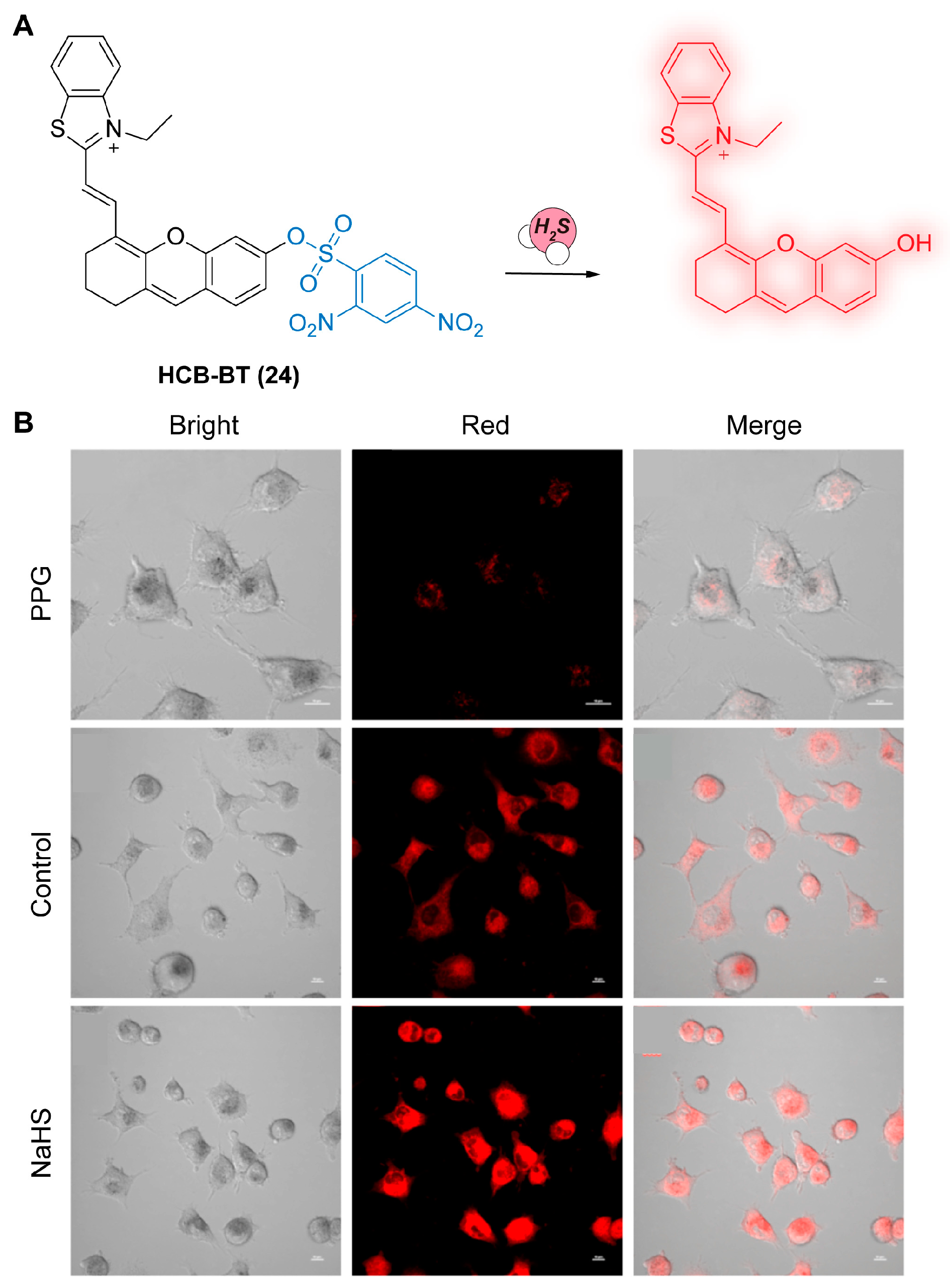 Chemosensors 11 00333 g009 Chemosensors 11 00333 g009