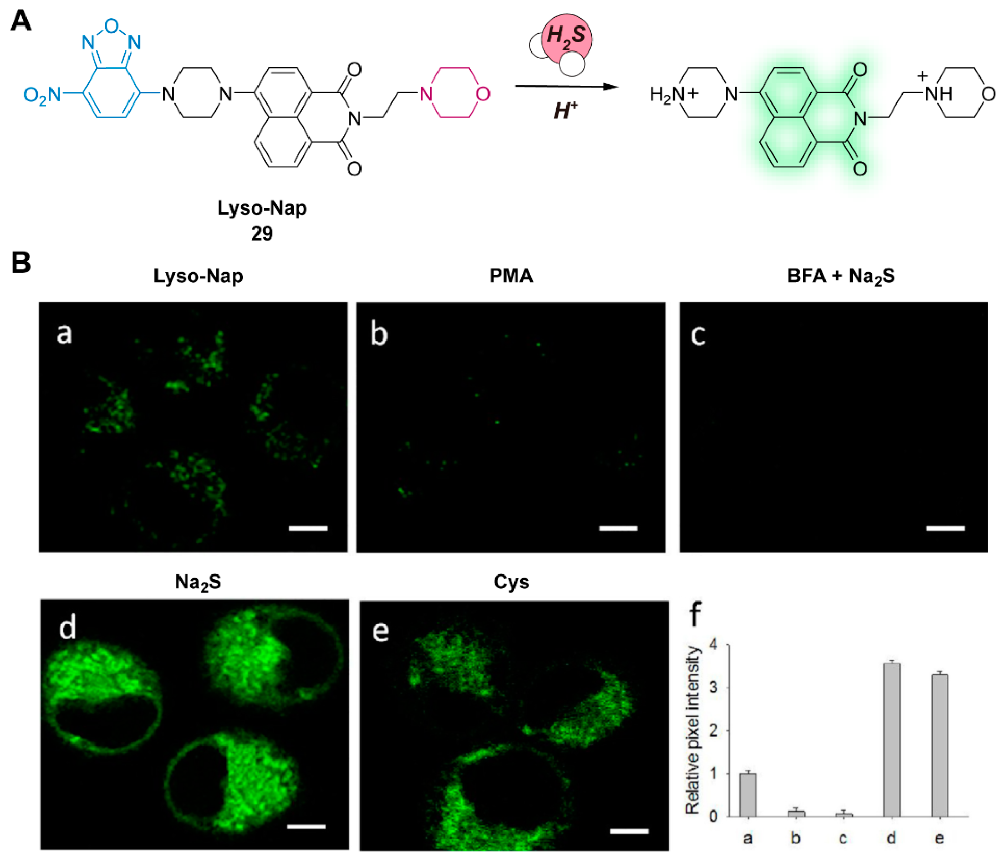 Chemosensors 11 00333 g011 Chemosensors 11 00333 g011