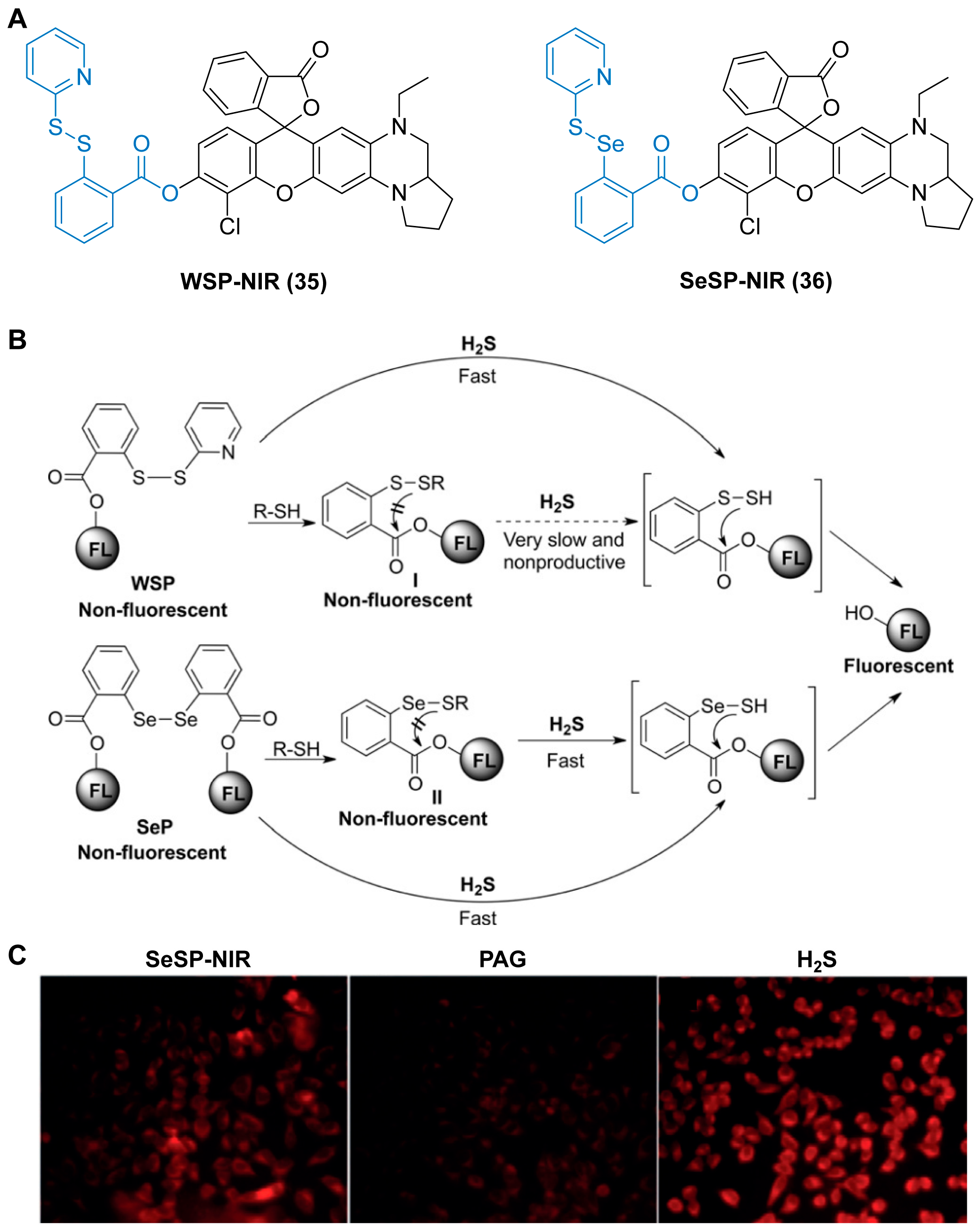 Chemosensors 11 00333 g013 Chemosensors 11 00333 g013