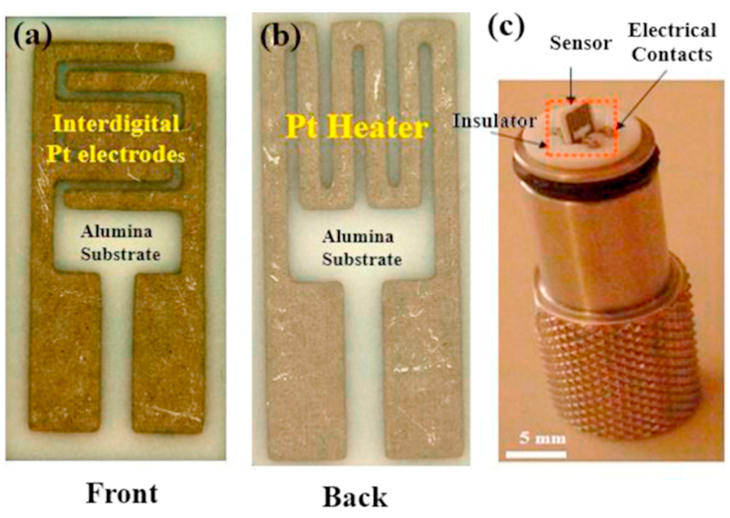 Chemosensors 11 00334 g002 Chemosensors 11 00334 g002