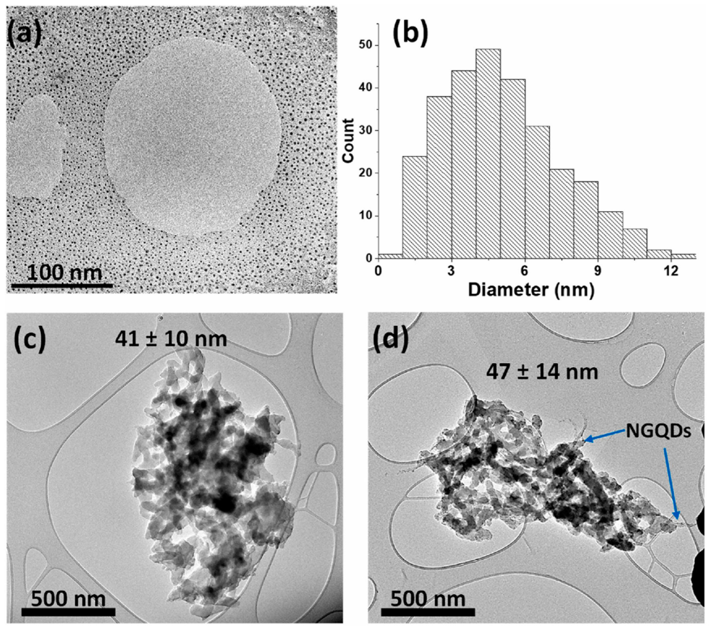 Chemosensors 11 00334 g010 Chemosensors 11 00334 g010