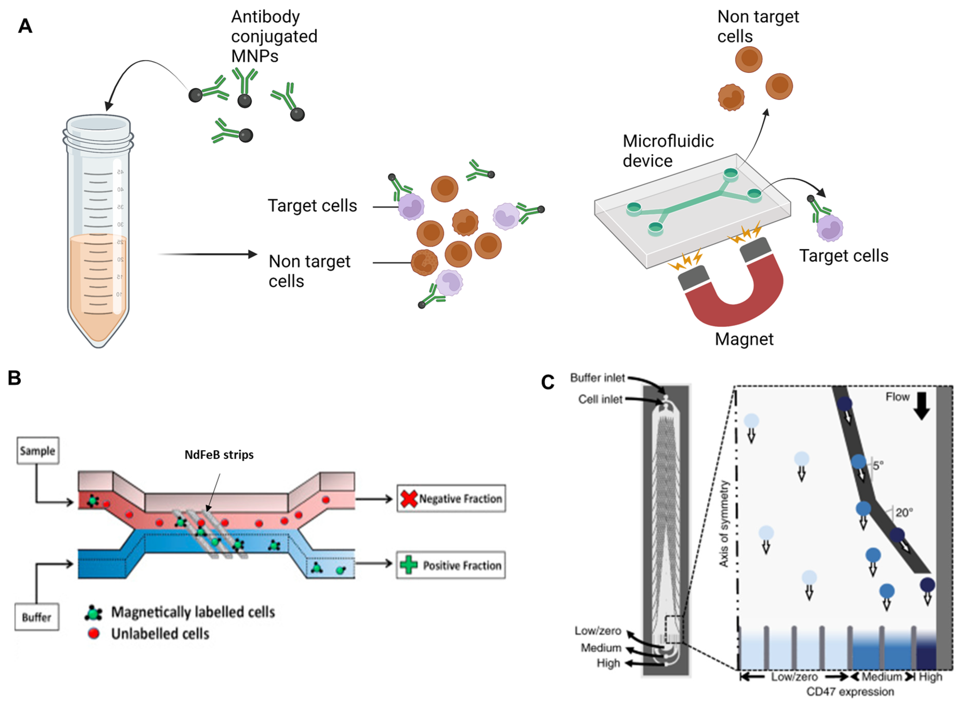 Chemosensors 11 00335 g002