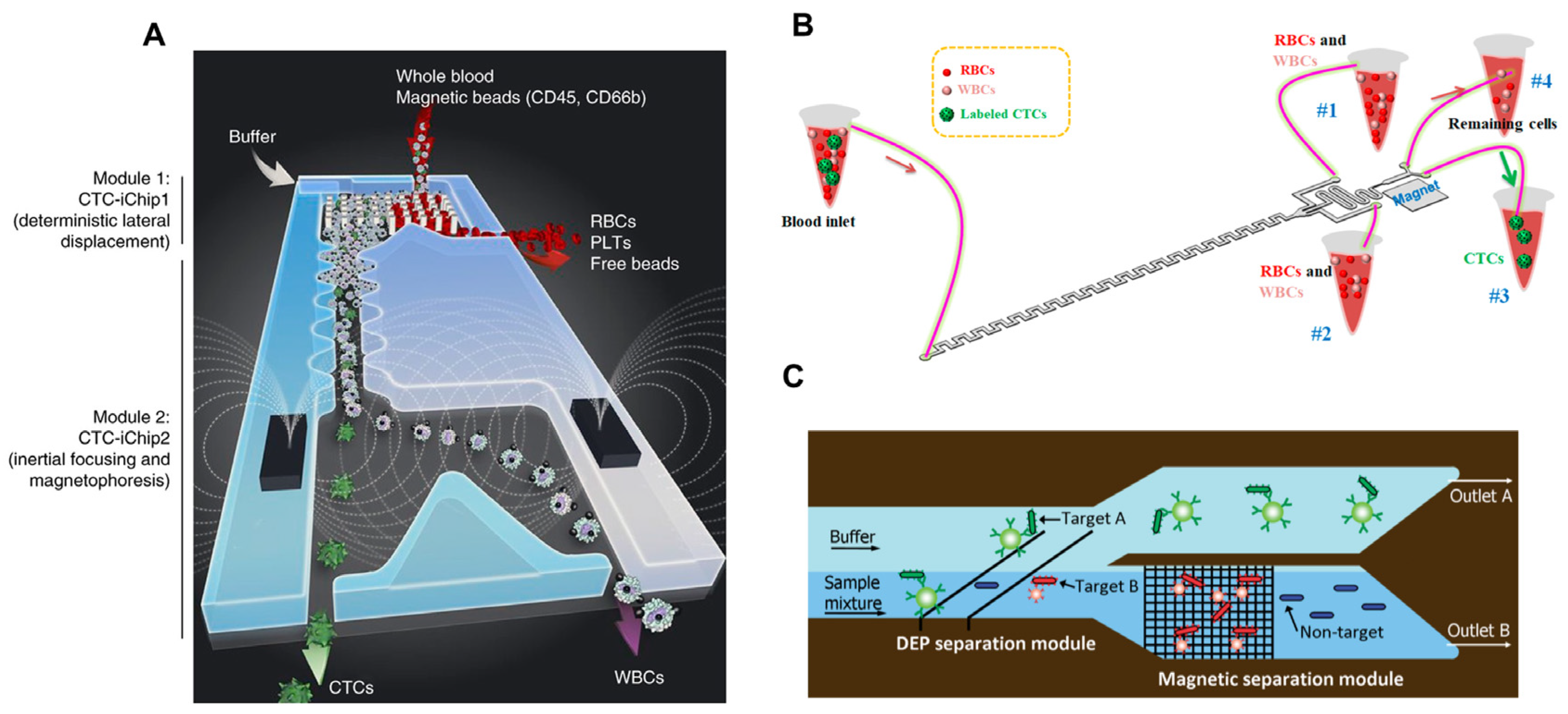 Chemosensors 11 00335 g003