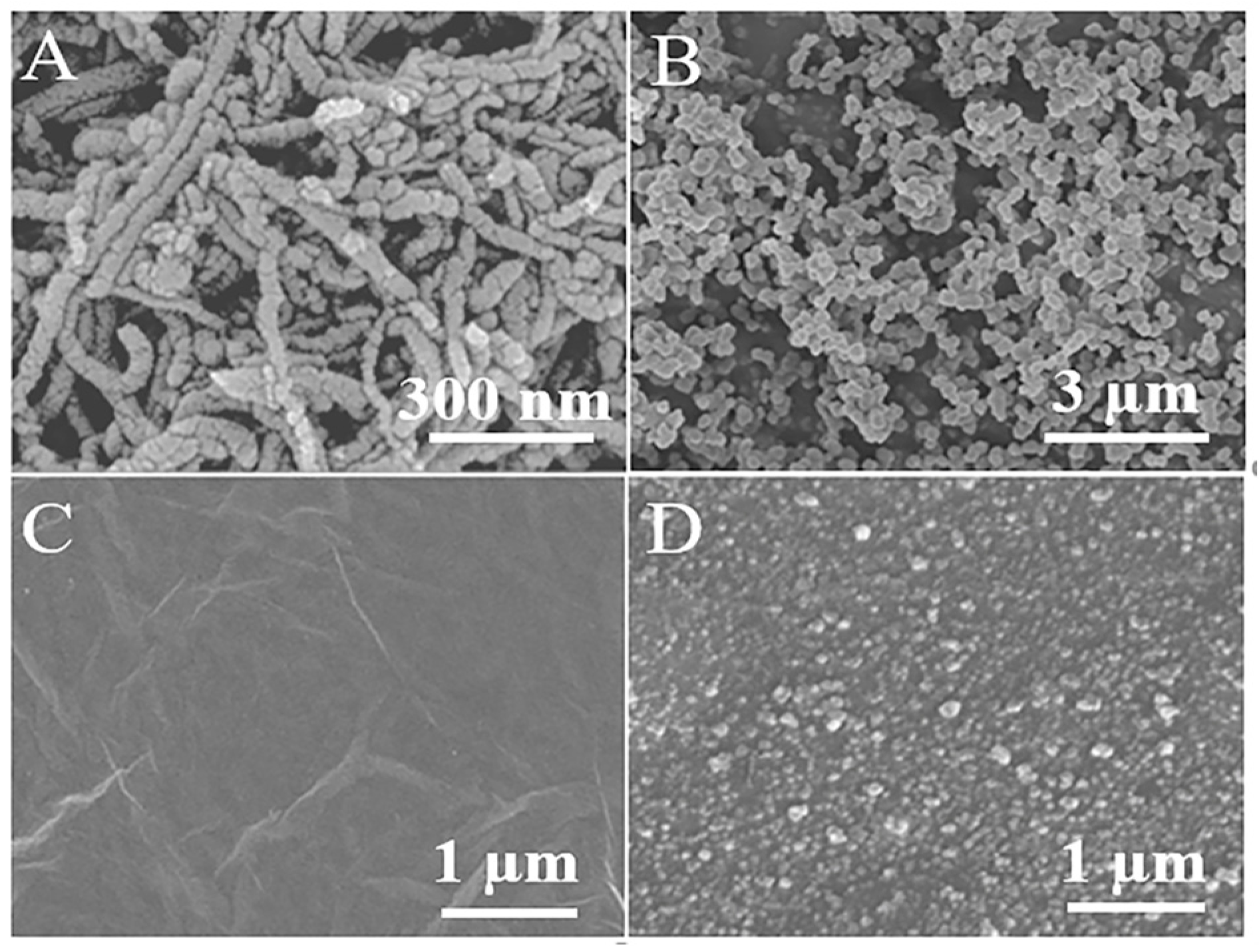 Chemosensors 11 00339 g001 Chemosensors 11 00339 g001