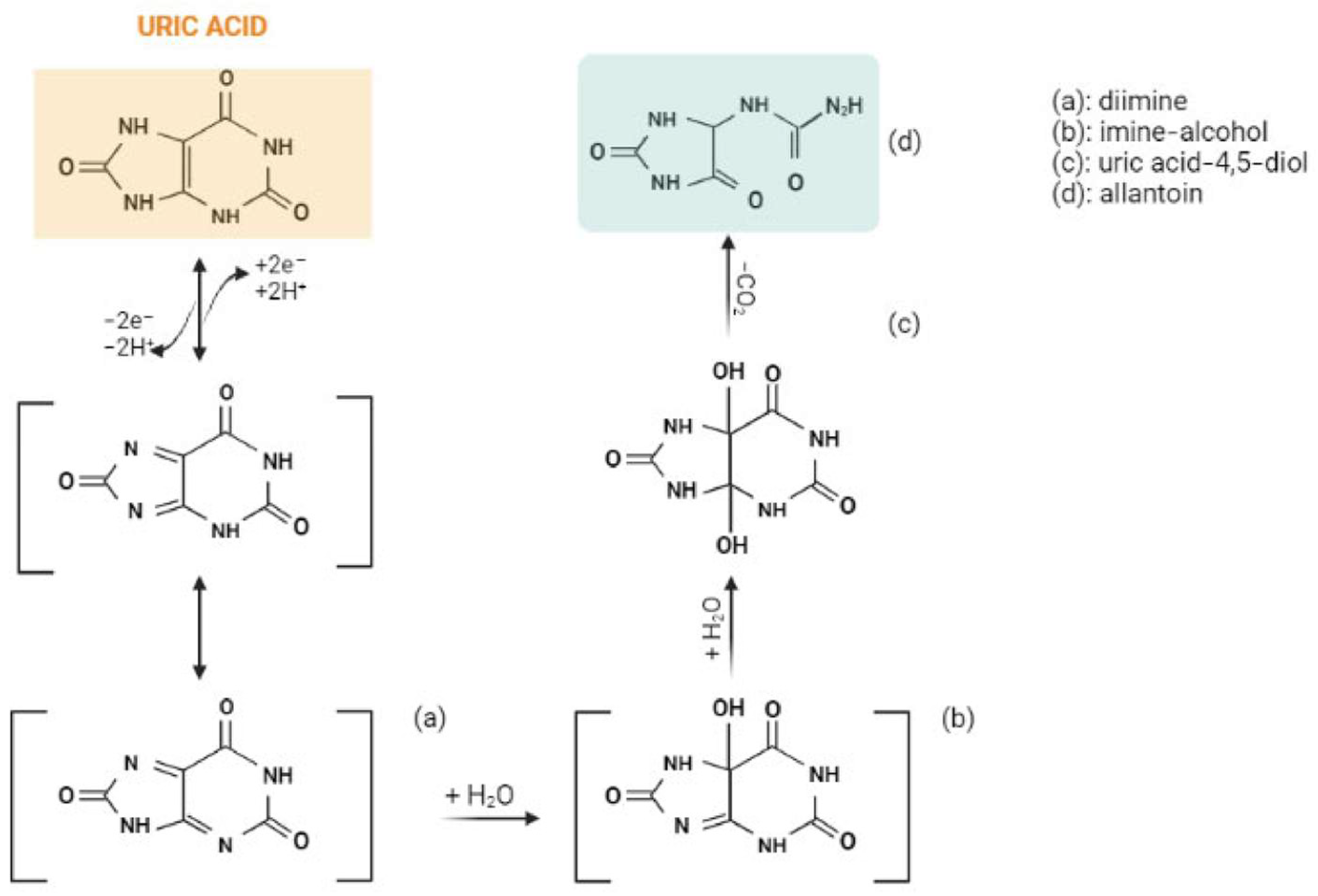 Chemosensors Free FullText New Trends in Uric Acid Electroanalysis
