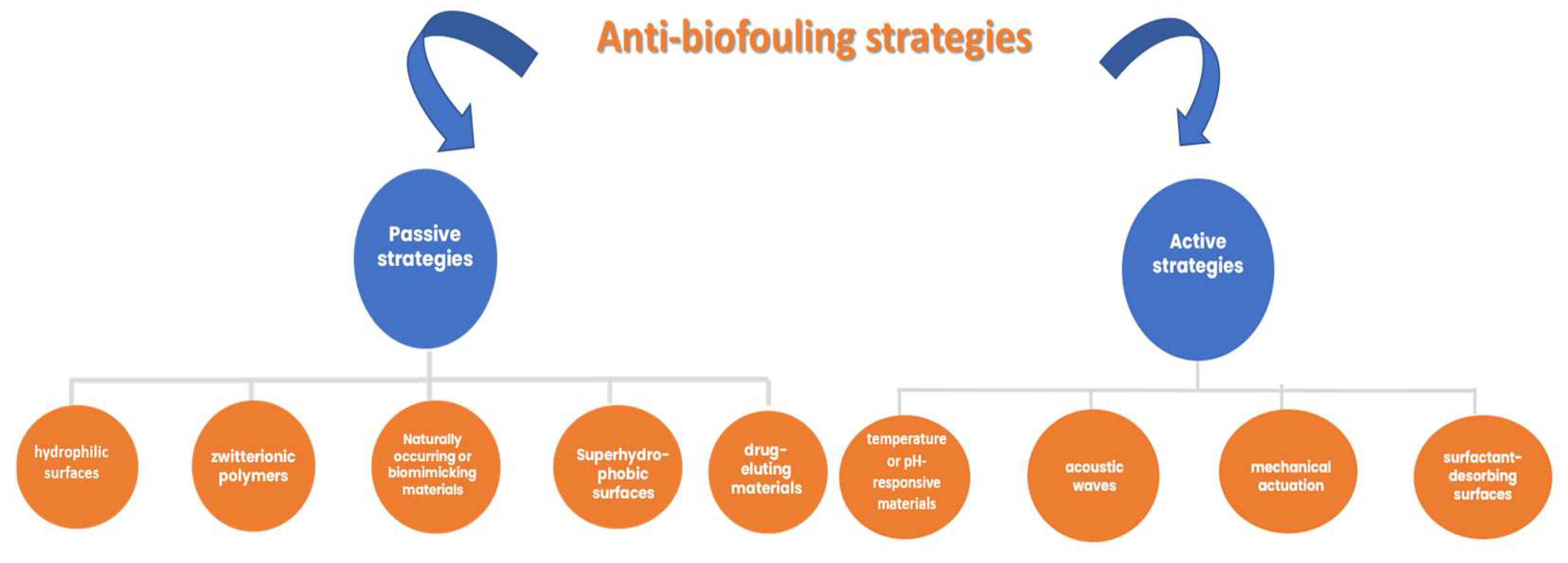 Chemosensors 11 00341 g003