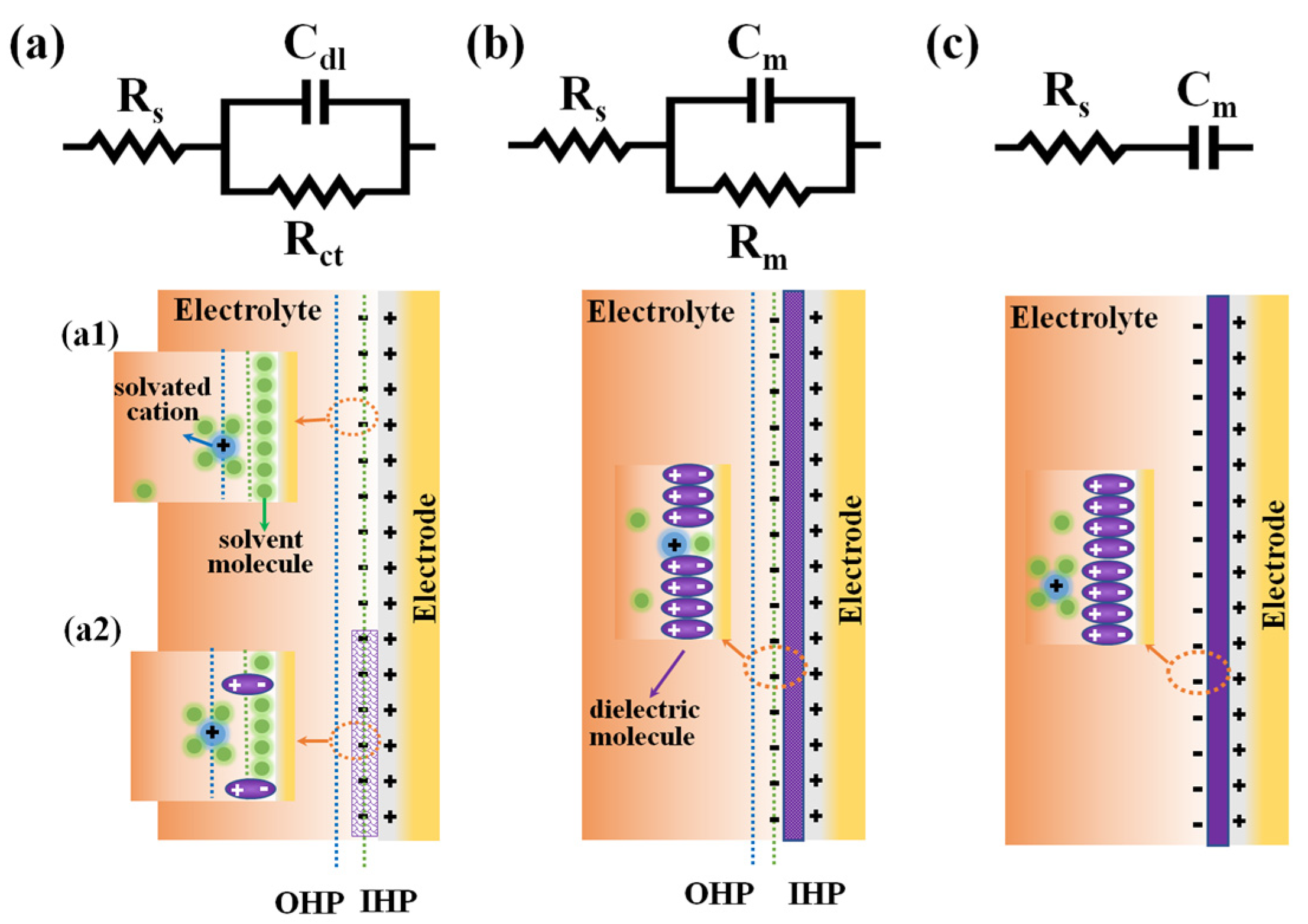 Chemosensors 11 00343 g001