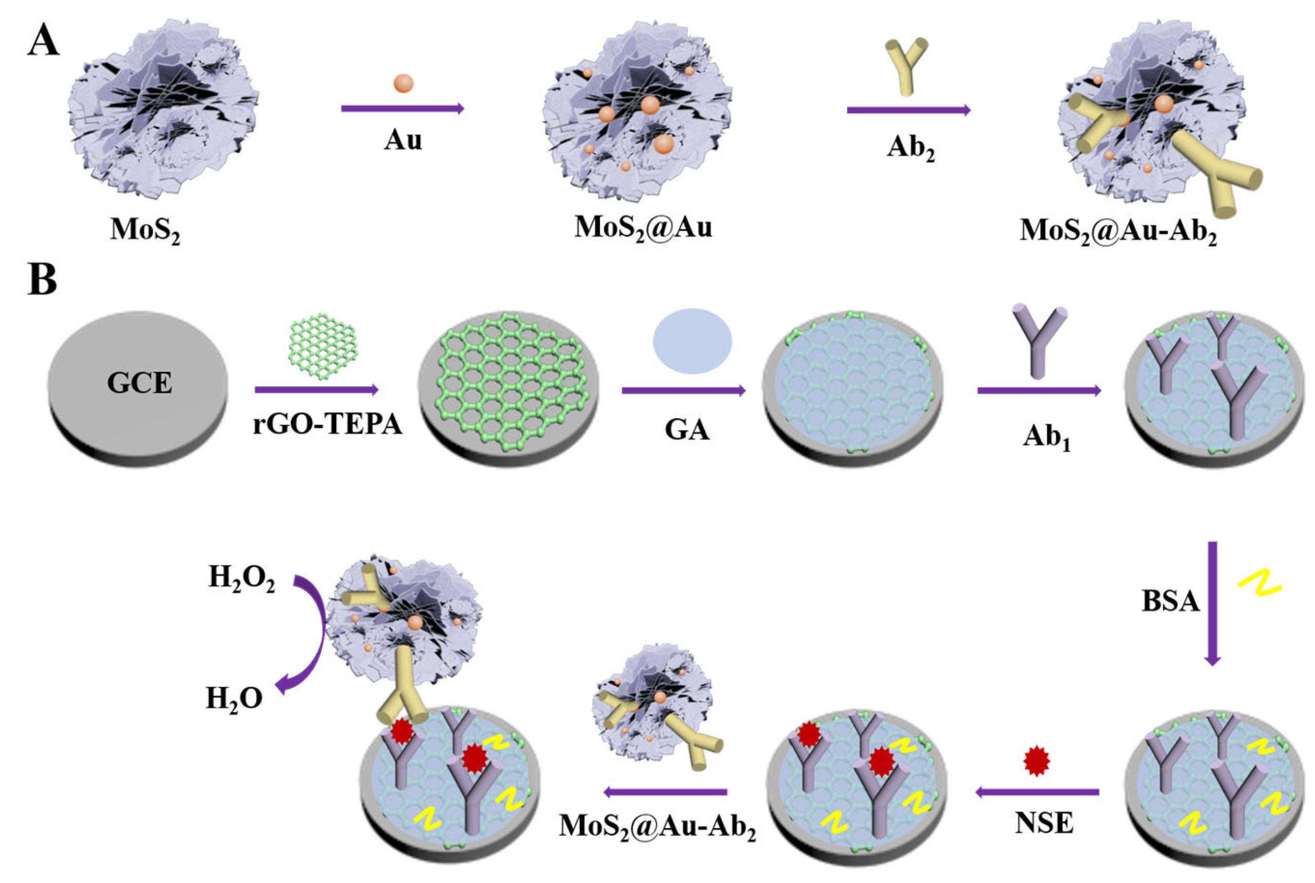 Chemosensors 11 00349 sch001 Chemosensors 11 00349 sch001