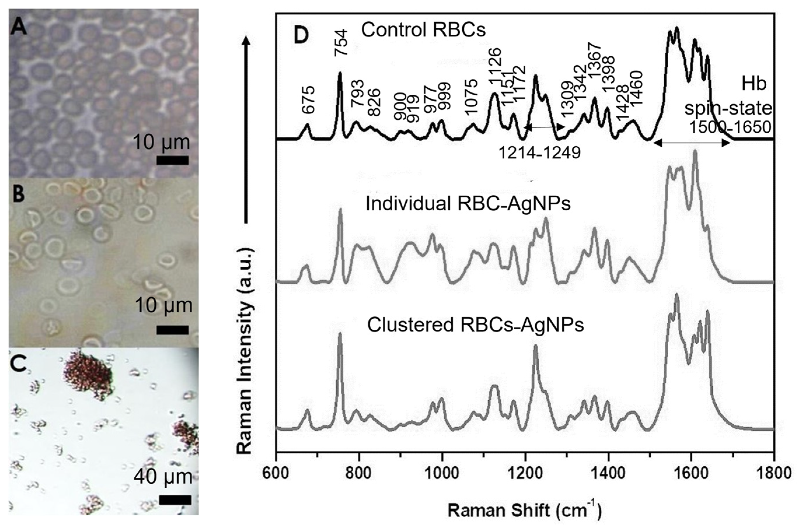 Chemosensors 11 00353 g003