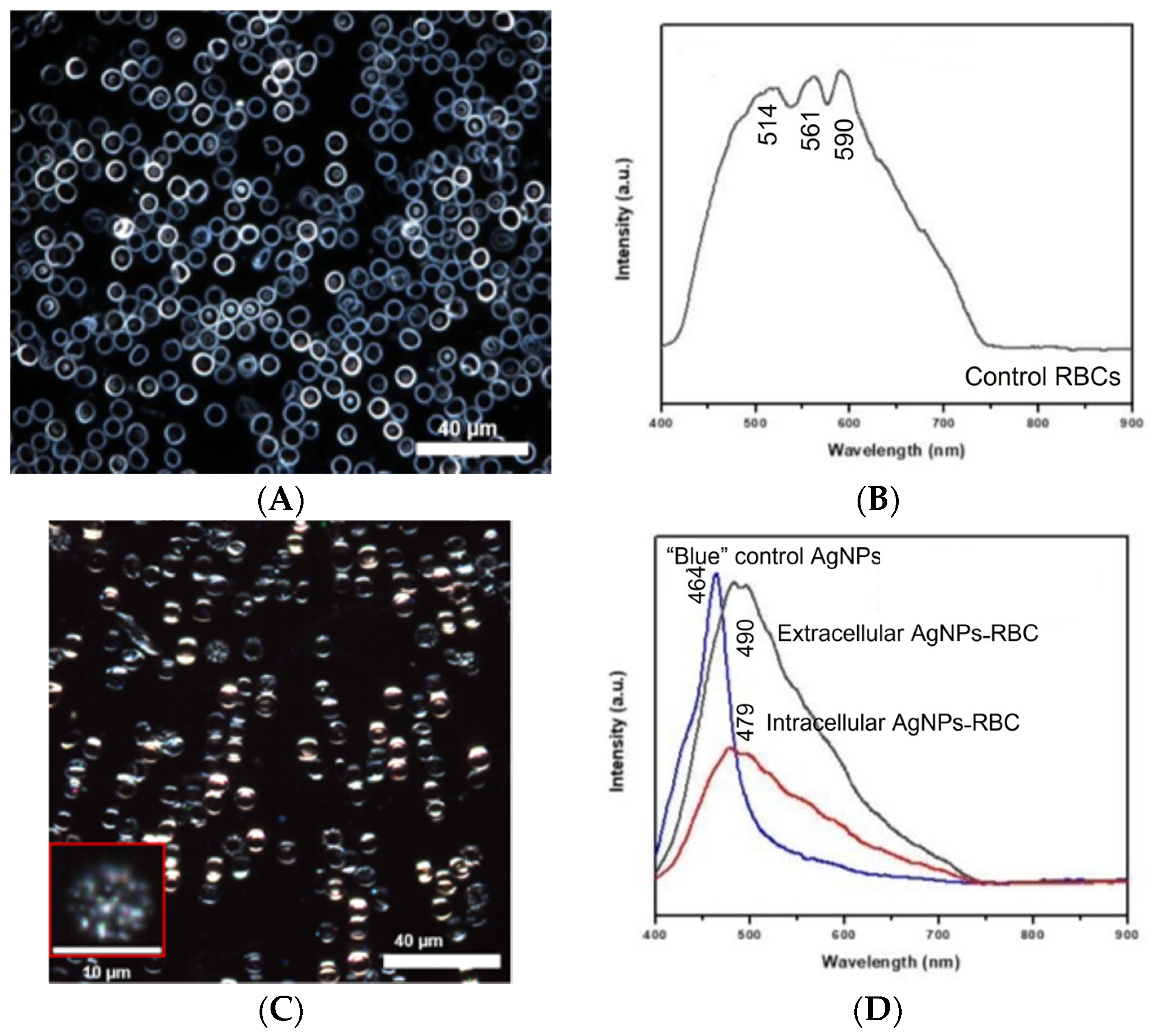 Chemosensors 11 00353 g005