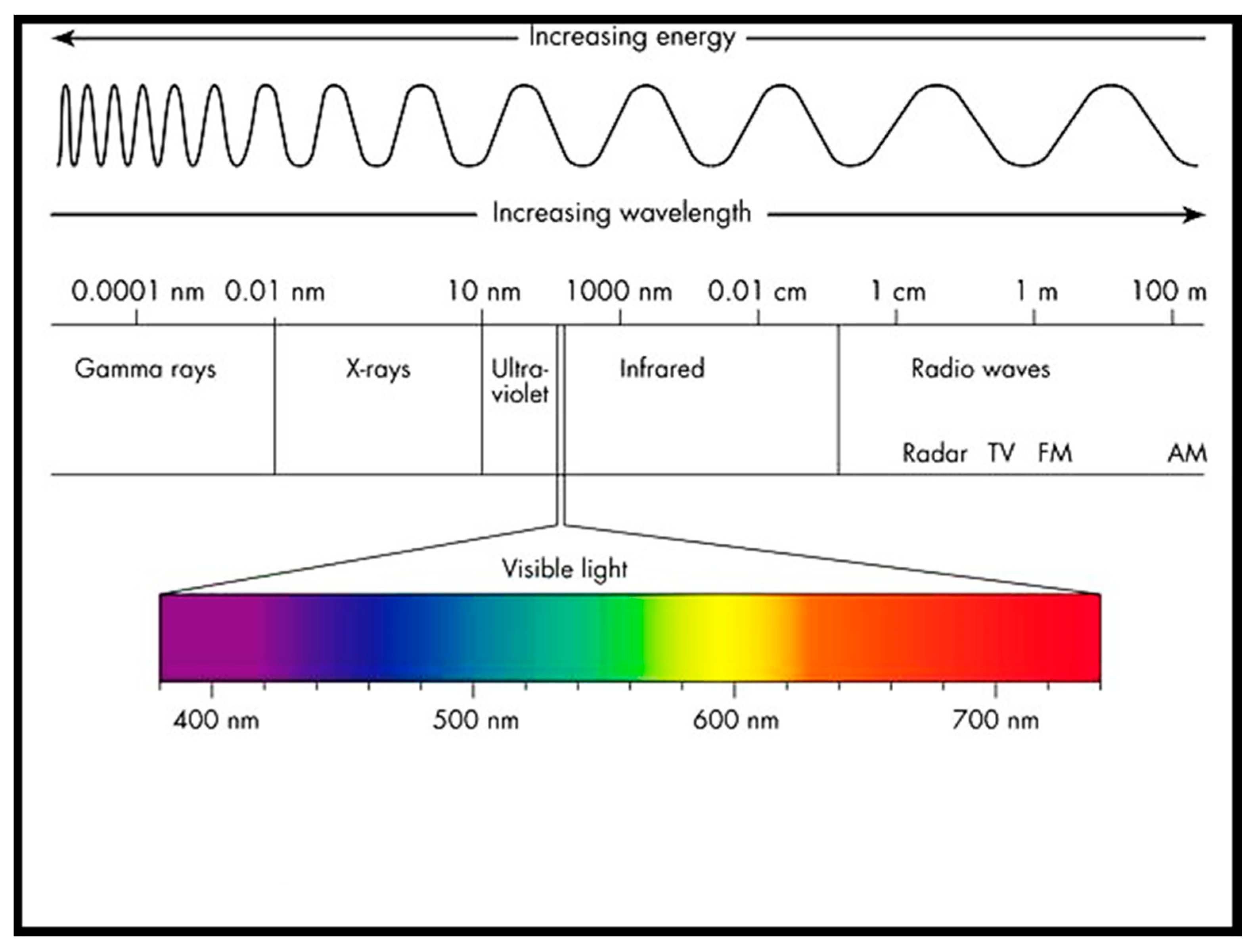 Chemosensors 11 00354 g007
