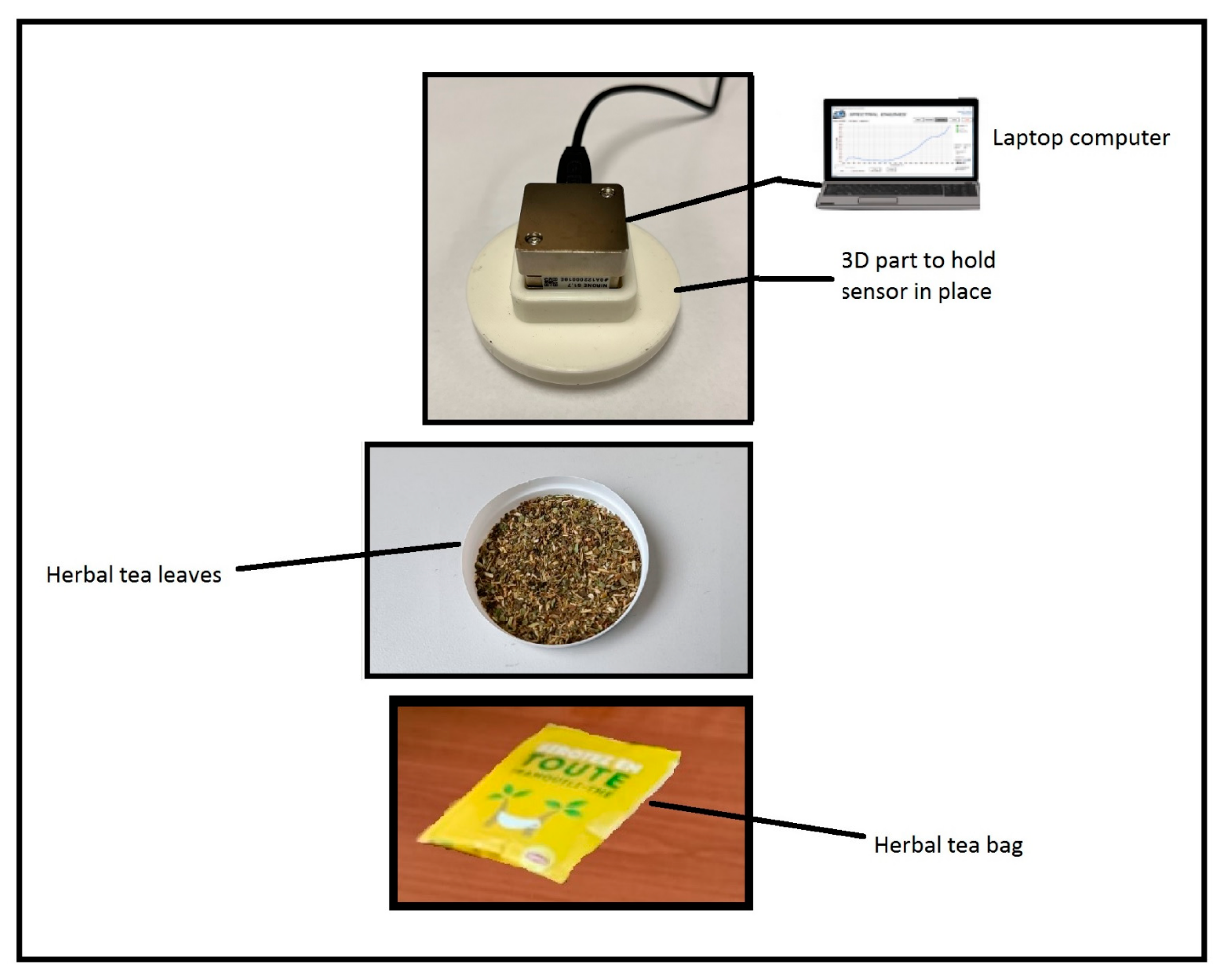 Chemosensors 11 00354 g009