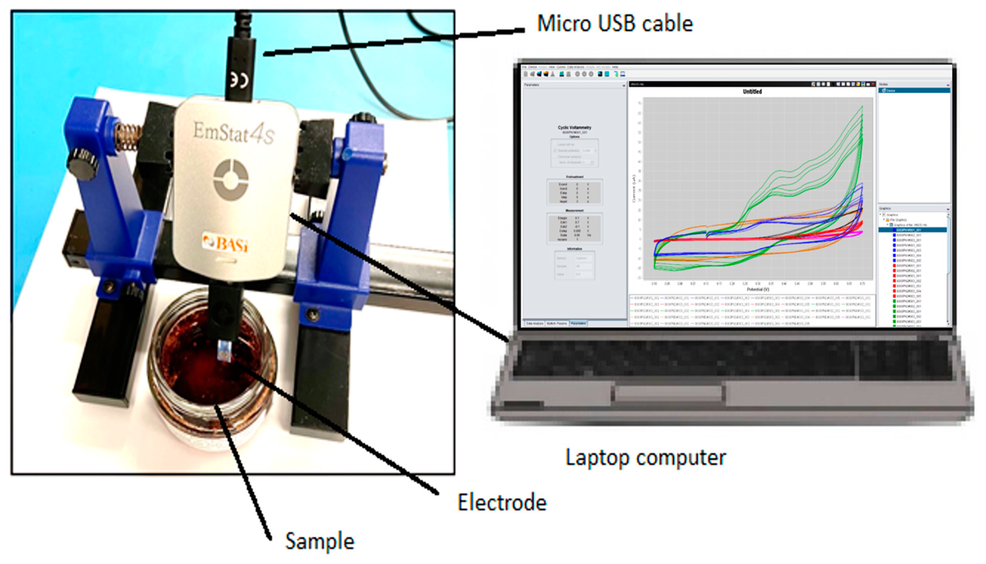 Chemosensors 11 00354 g010
