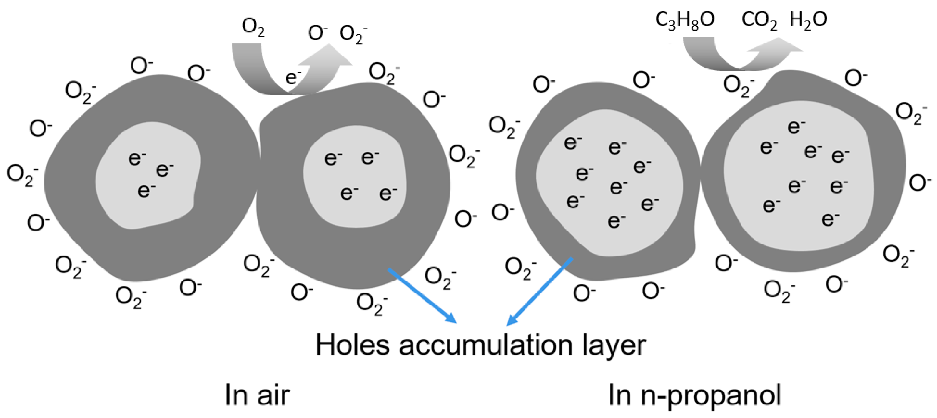 Chemosensors 11 00355 g006