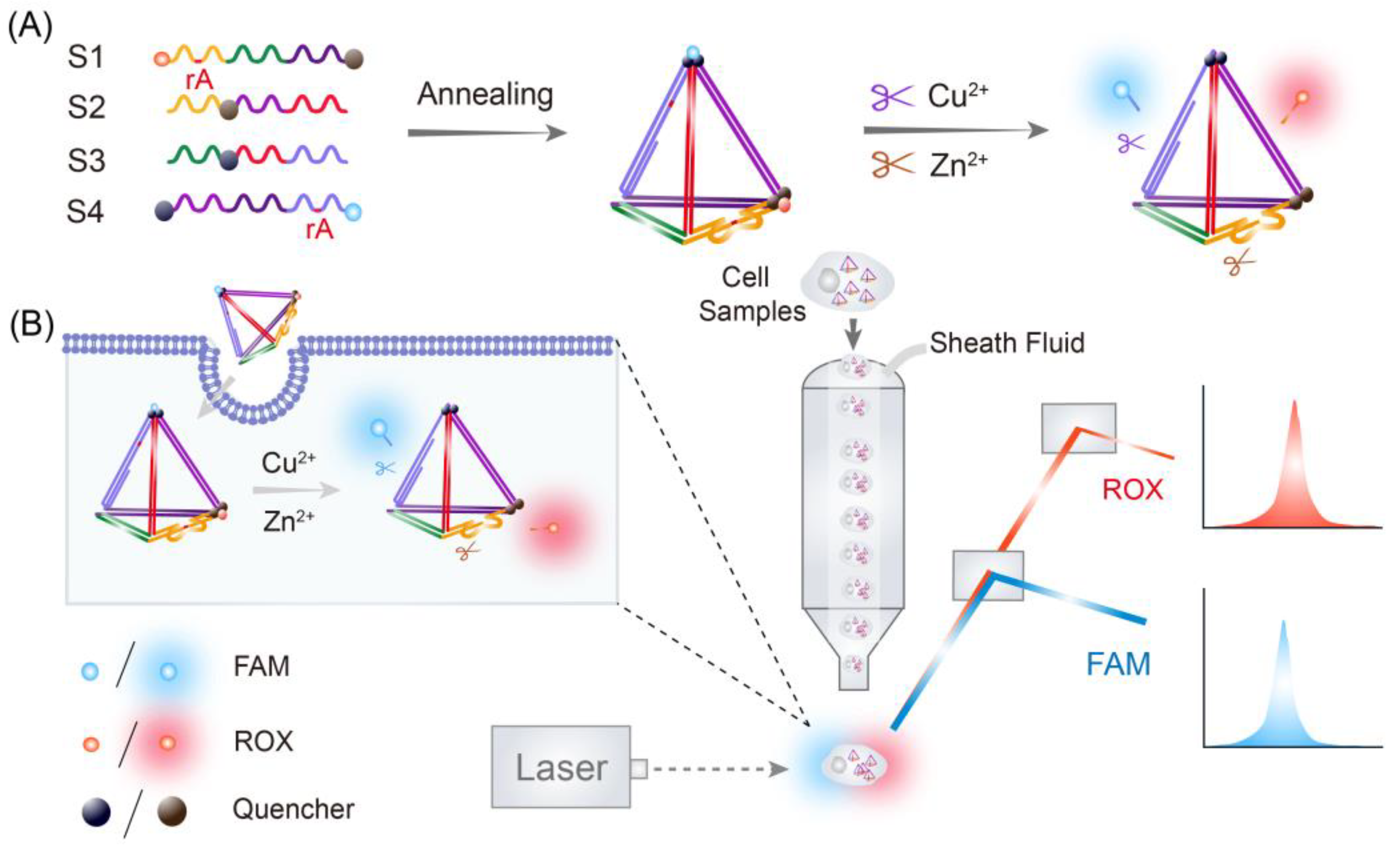 Chemosensors 11 00358 g001 Chemosensors 11 00358 g001