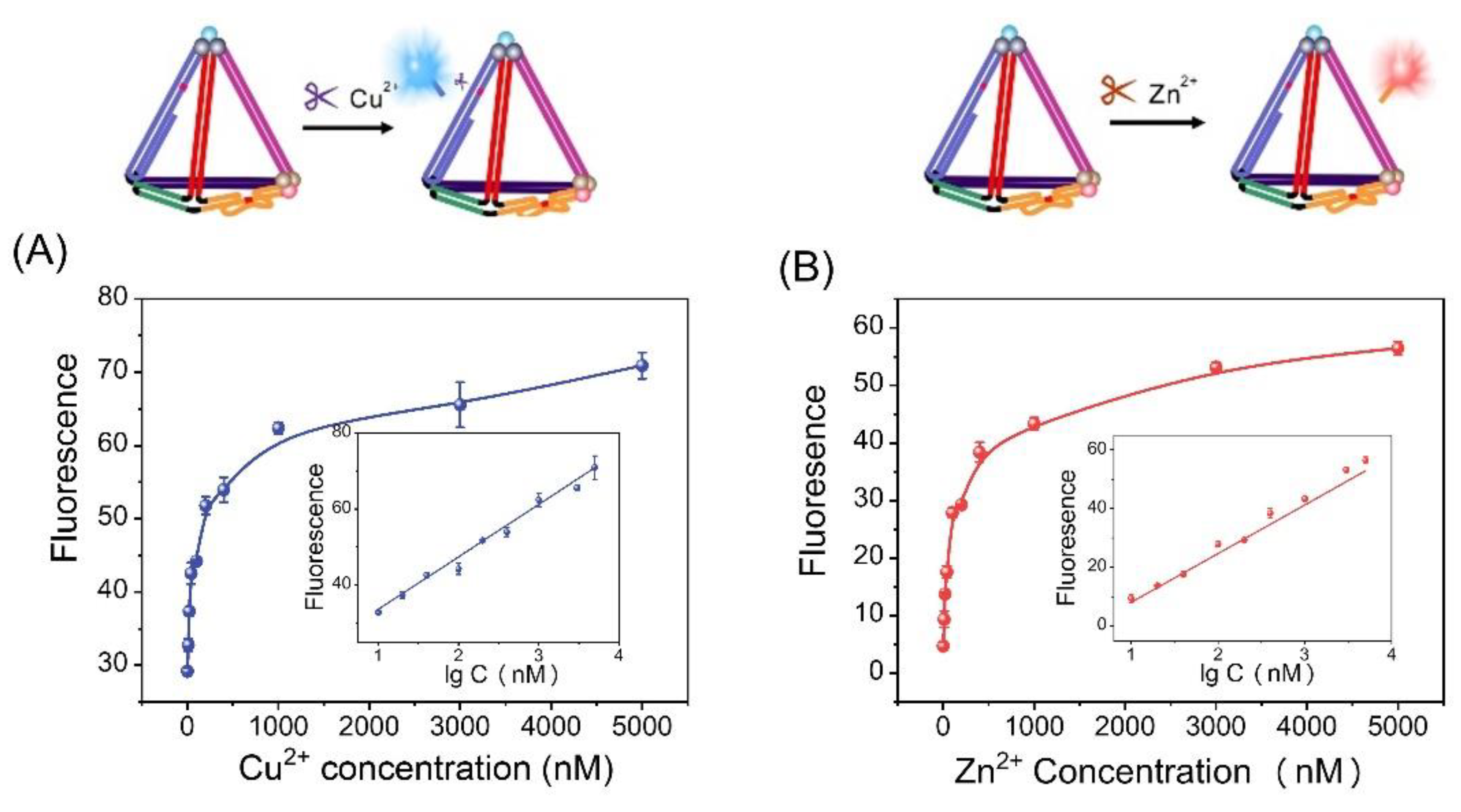 Chemosensors 11 00358 g003 Chemosensors 11 00358 g003