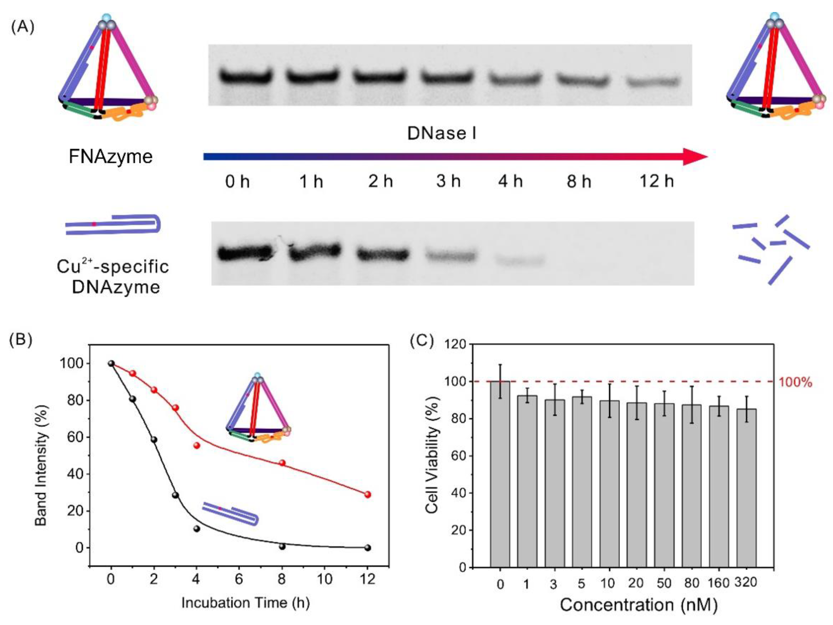 Chemosensors 11 00358 g004 Chemosensors 11 00358 g004