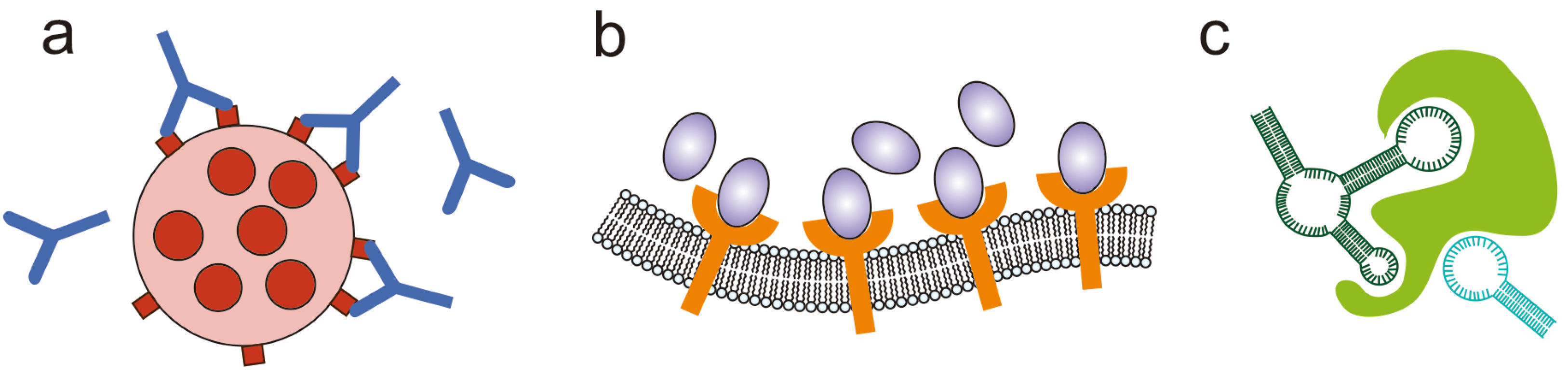 Chemosensors 11 00362 g001