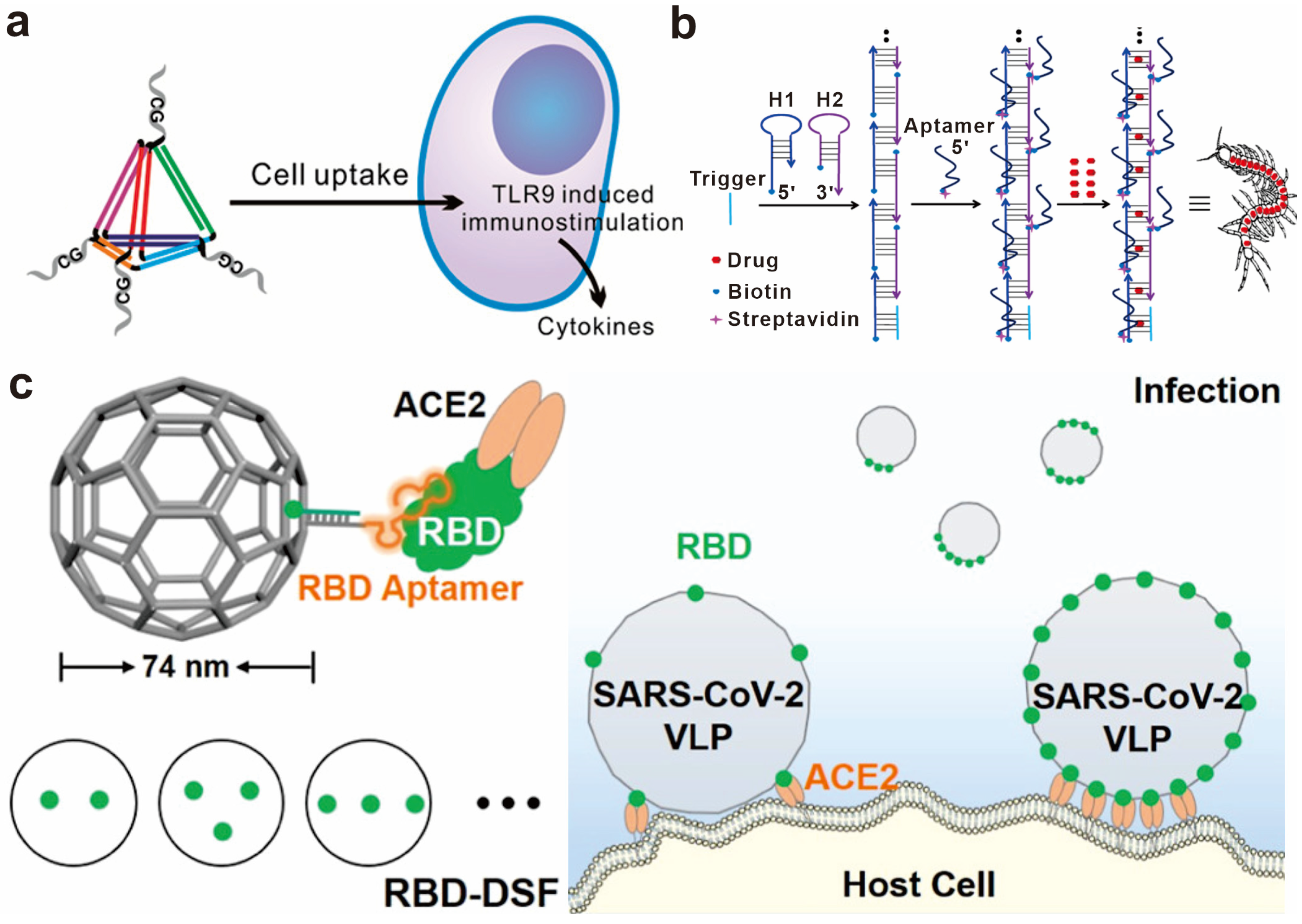 Chemosensors 11 00362 g002