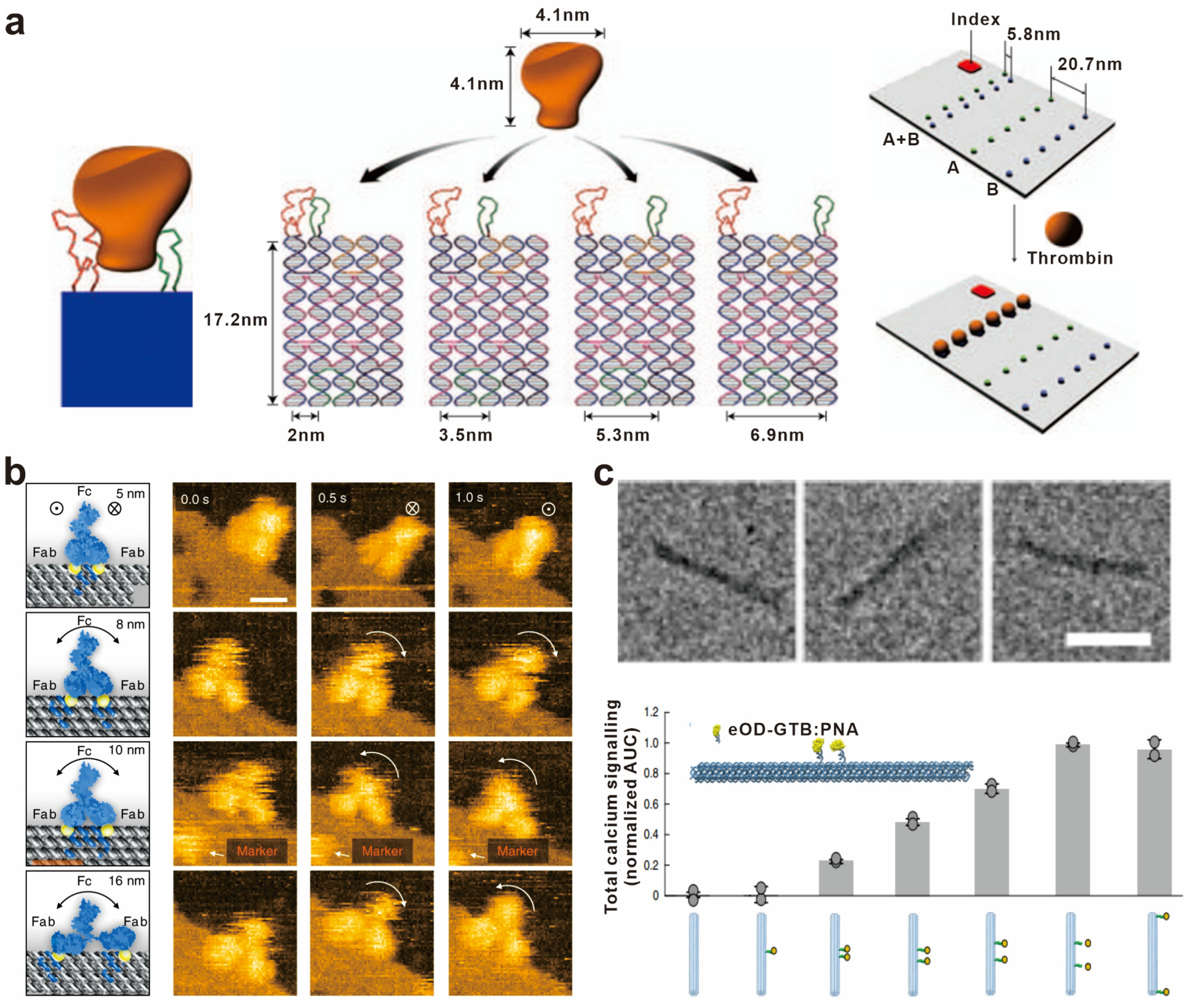 Chemosensors 11 00362 g003