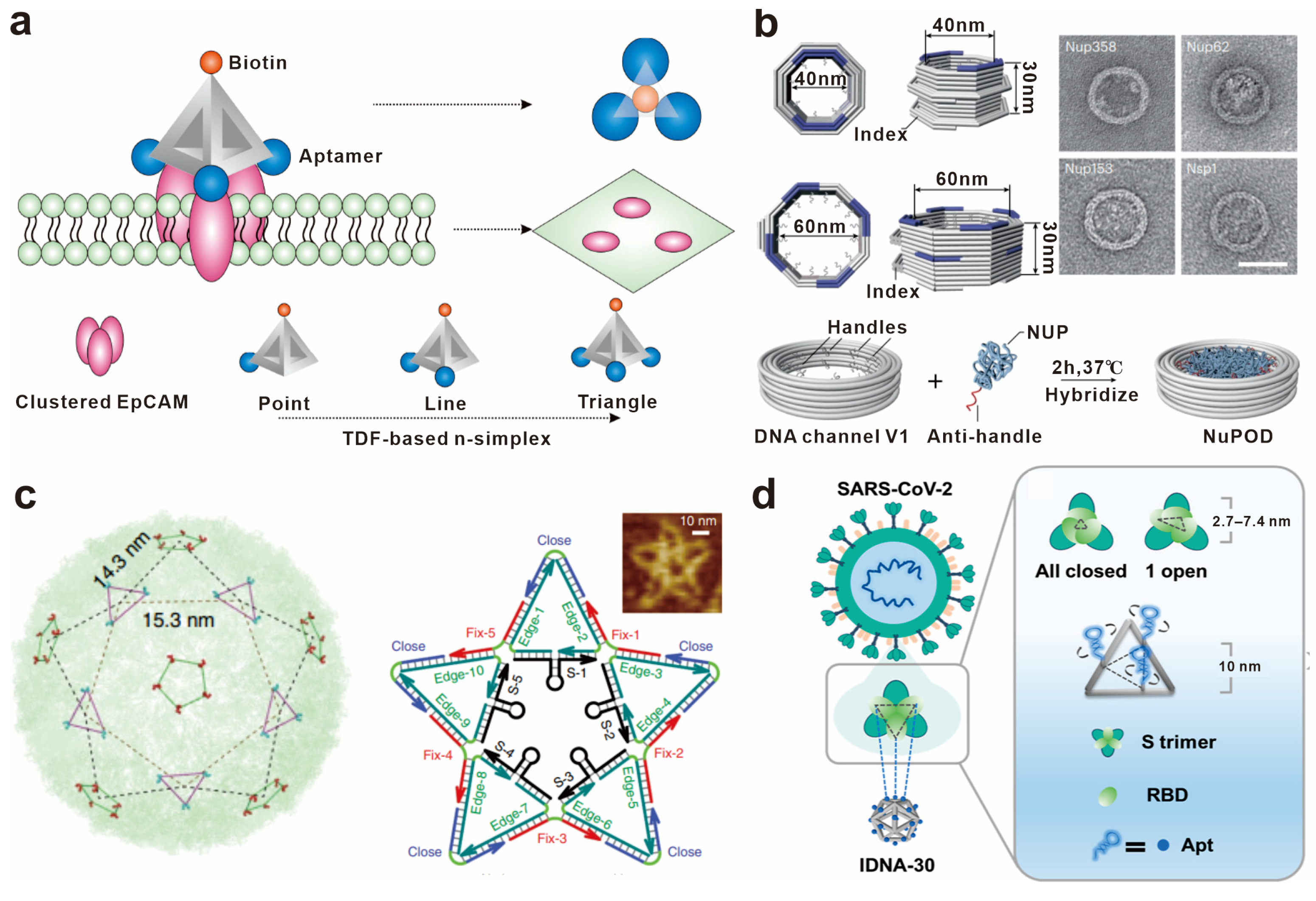 Chemosensors 11 00362 g004