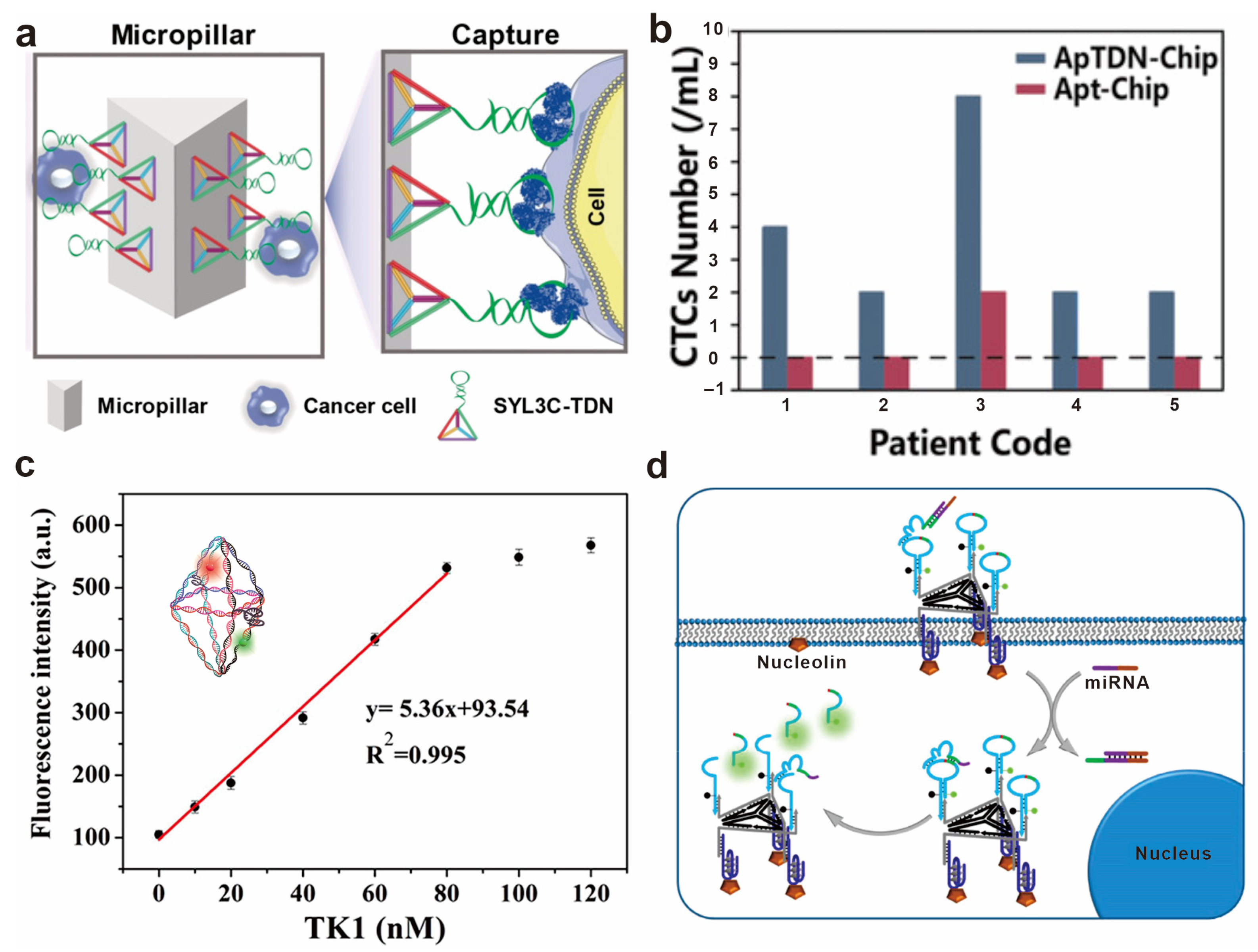 Chemosensors 11 00362 g005