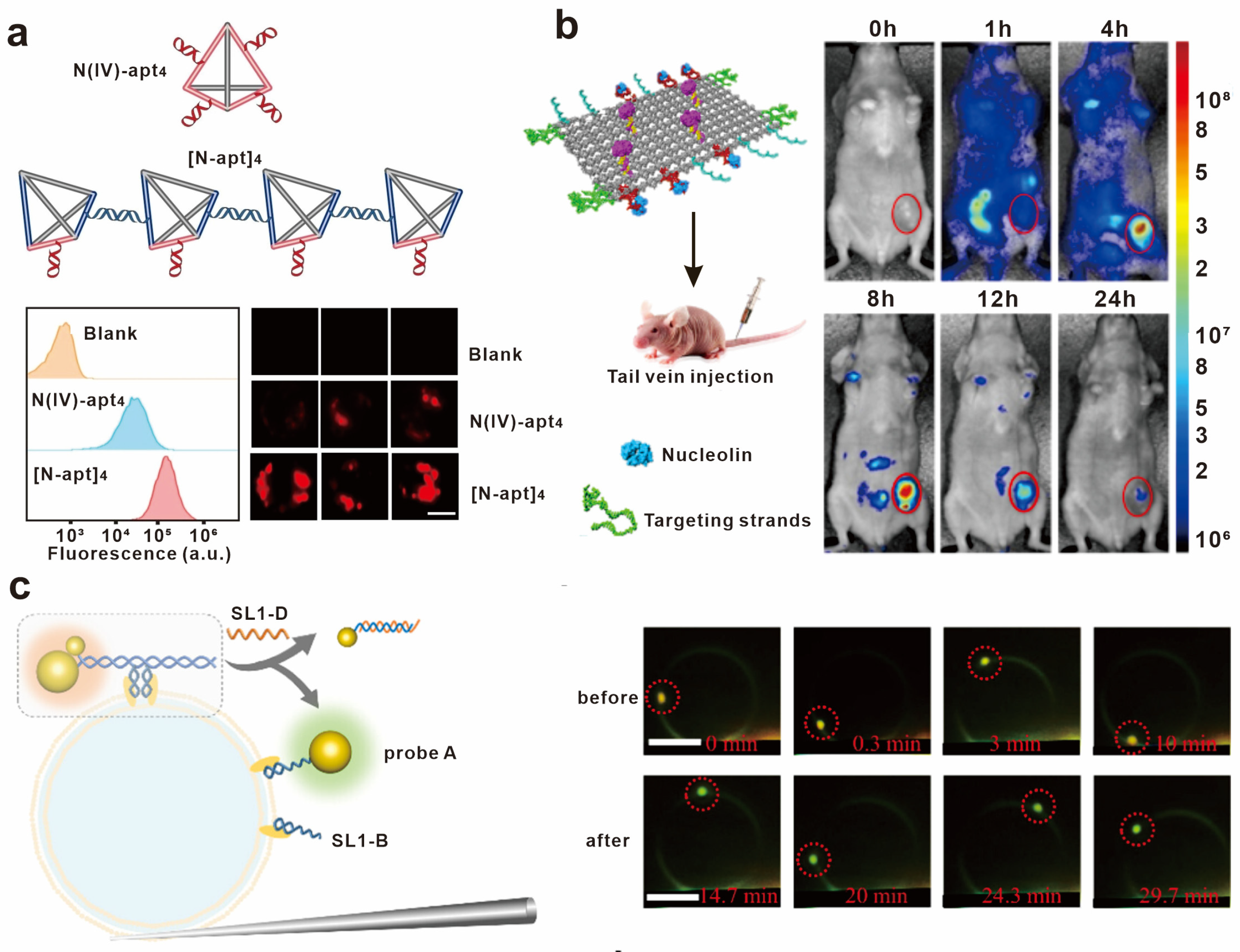 Chemosensors 11 00362 g006