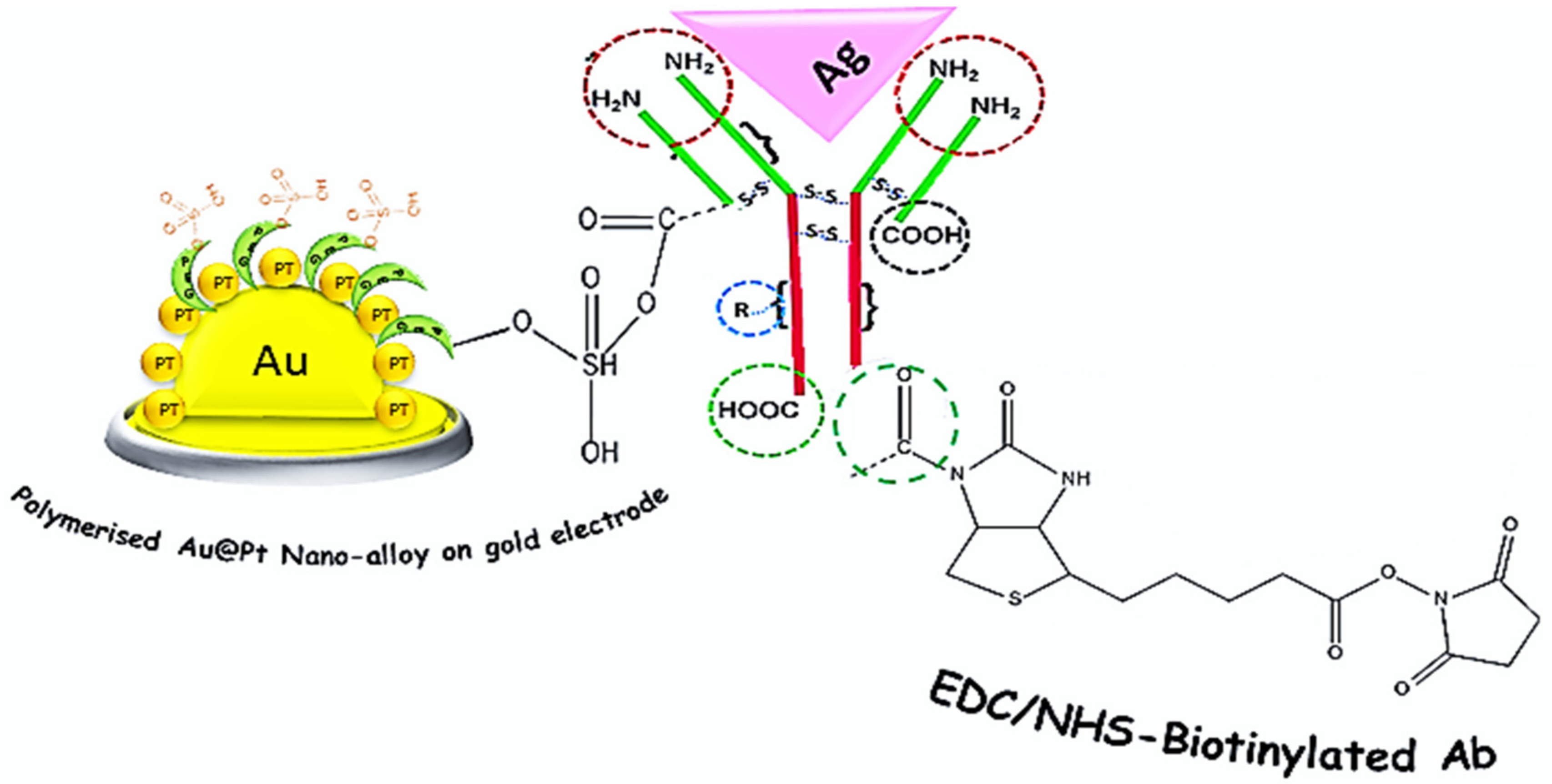 Chemosensors 11 00367 sch001