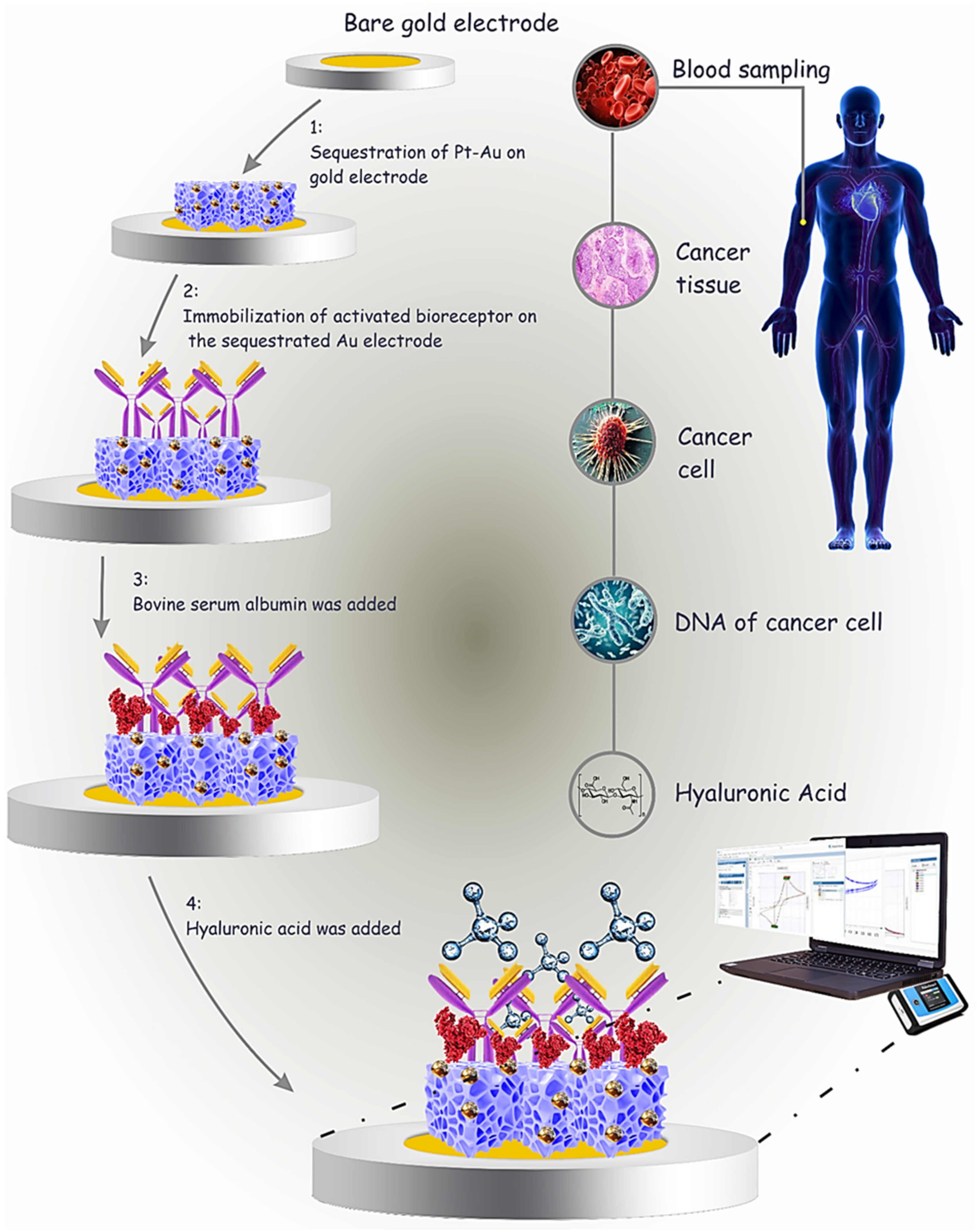 Chemosensors 11 00367 sch002