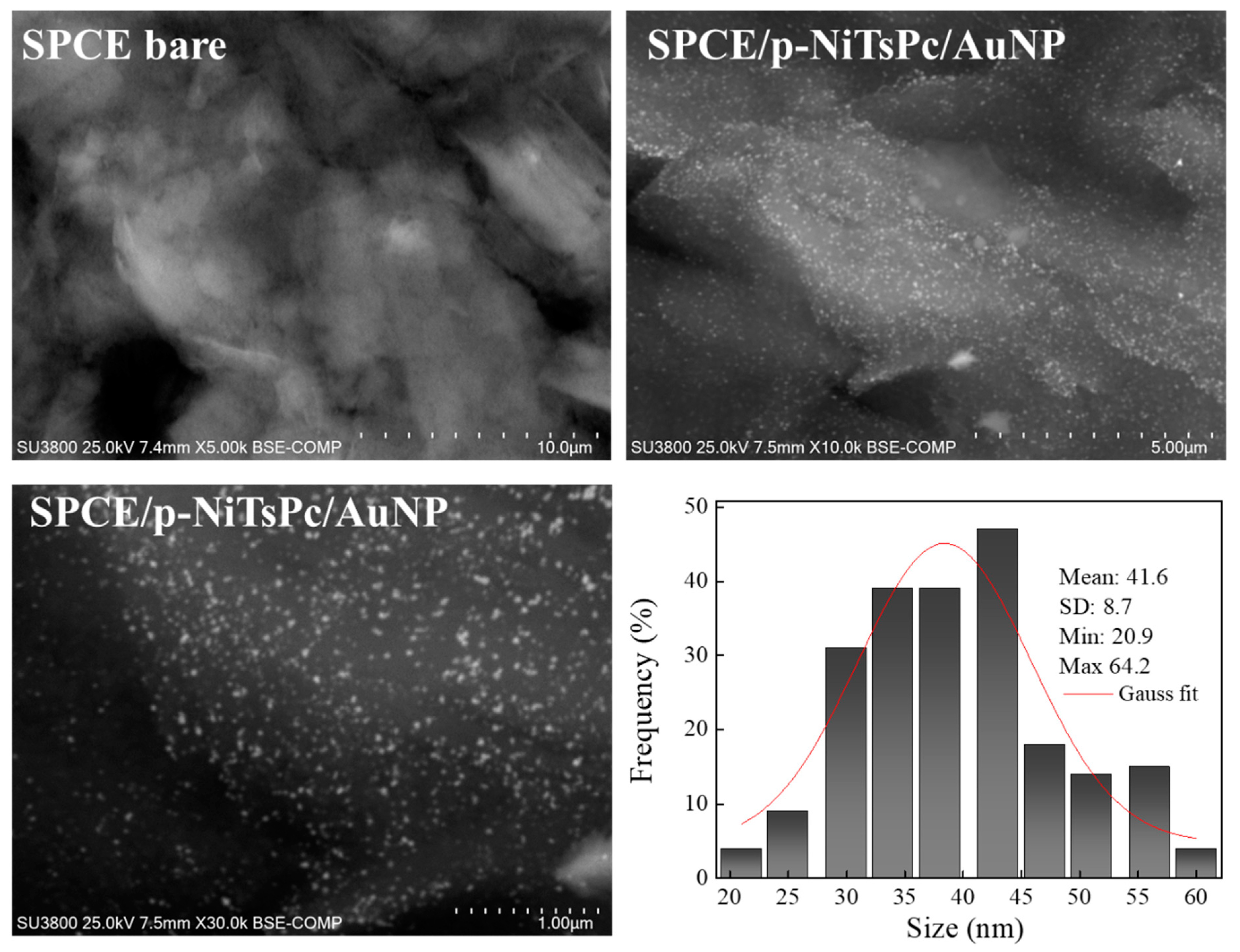 Chemosensors 11 00372 g002