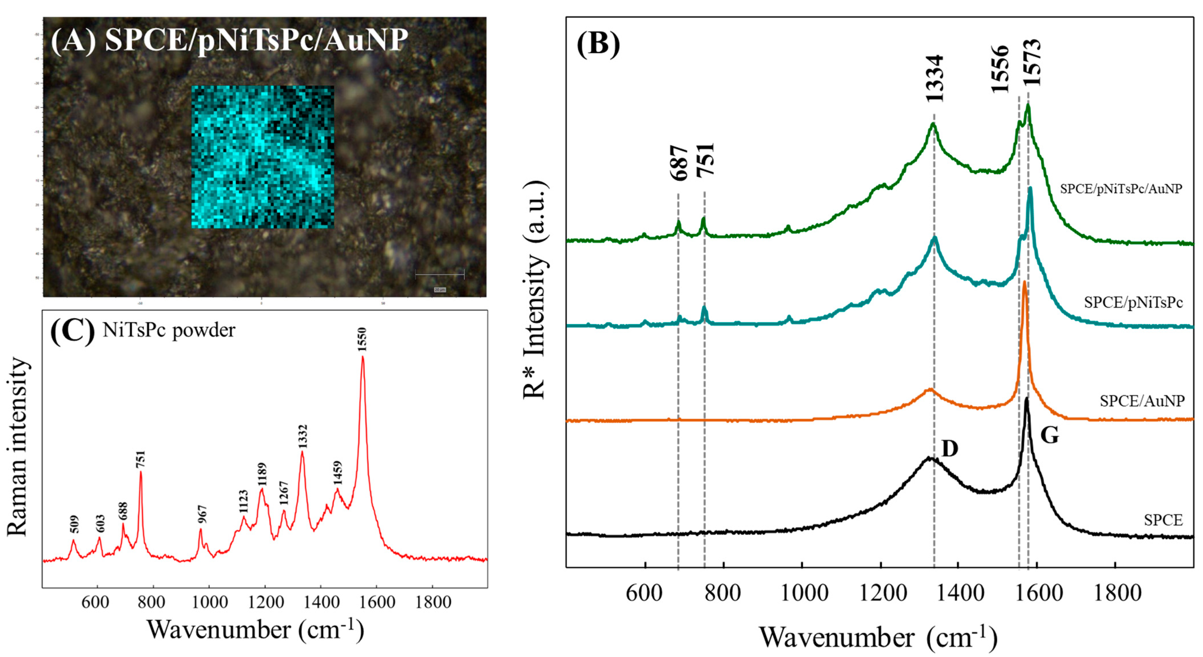 Chemosensors 11 00372 g003