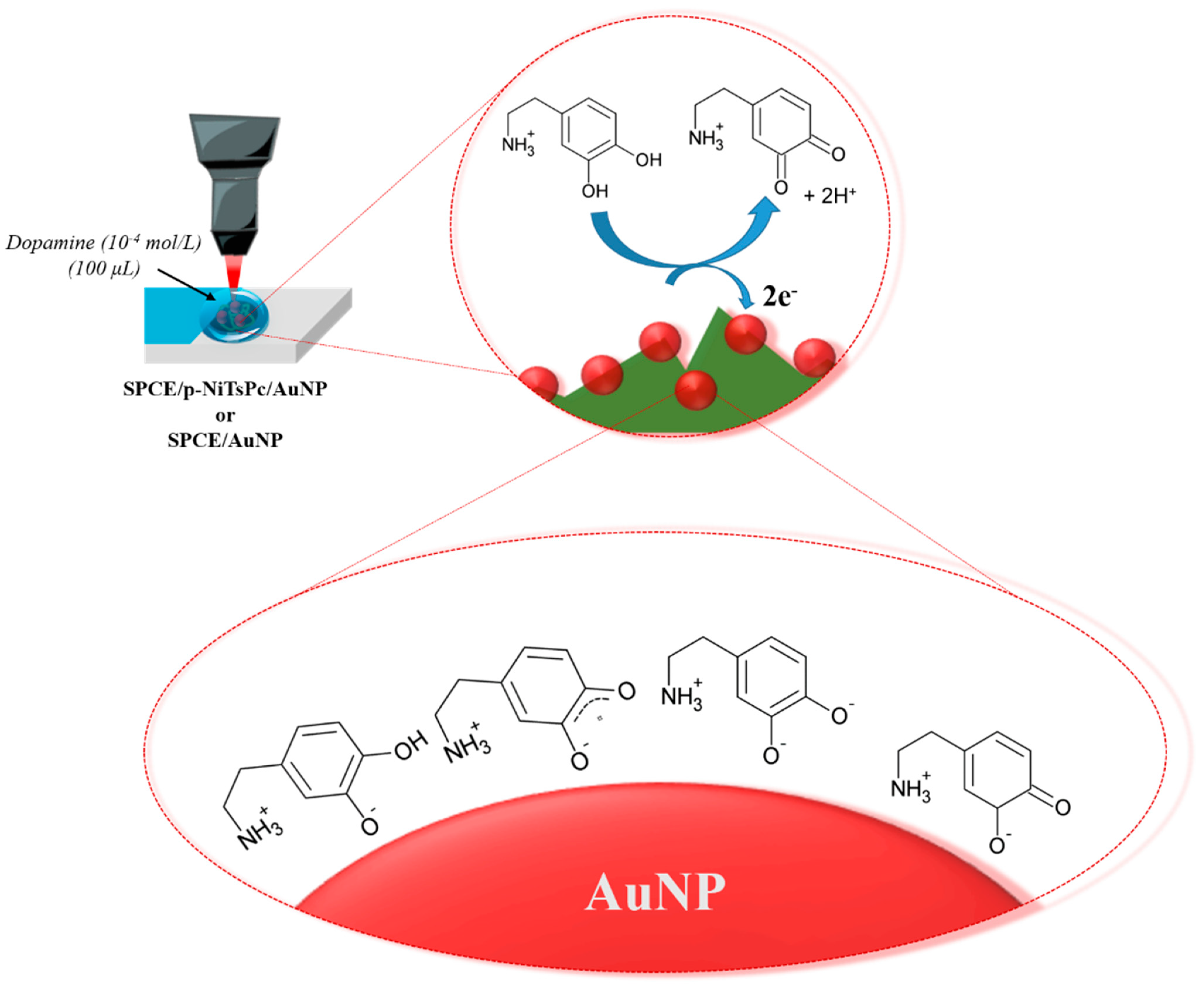 Chemosensors 11 00372 sch002