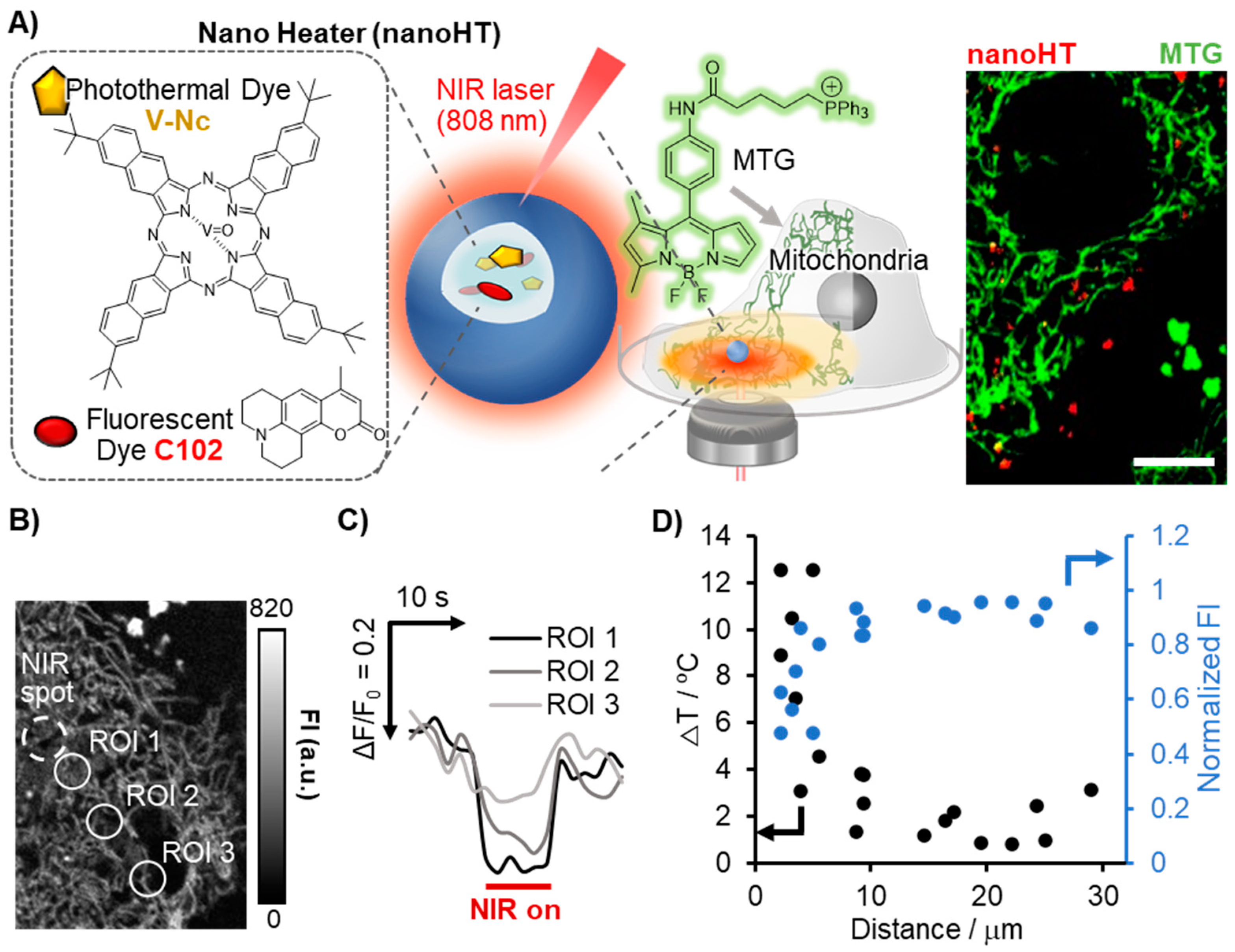 Chemosensors 11 00375 g002