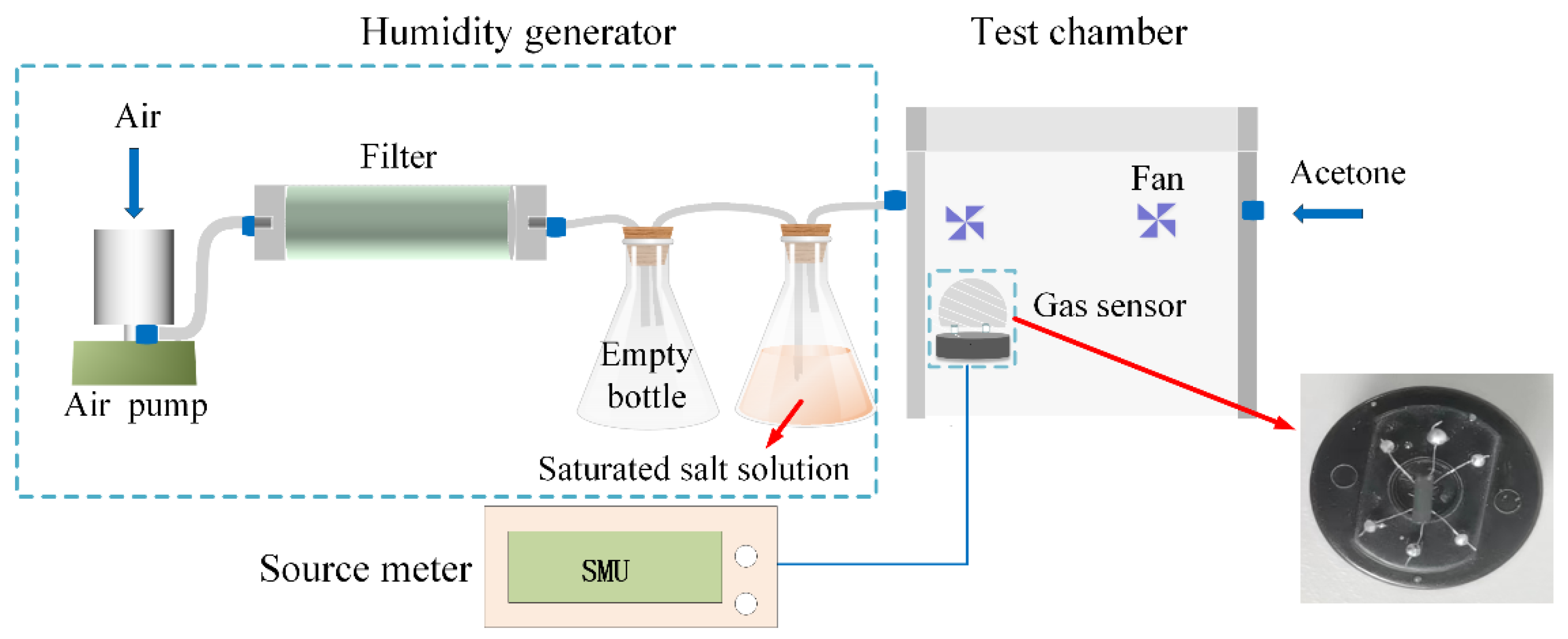 Chemosensors 11 00376 g001