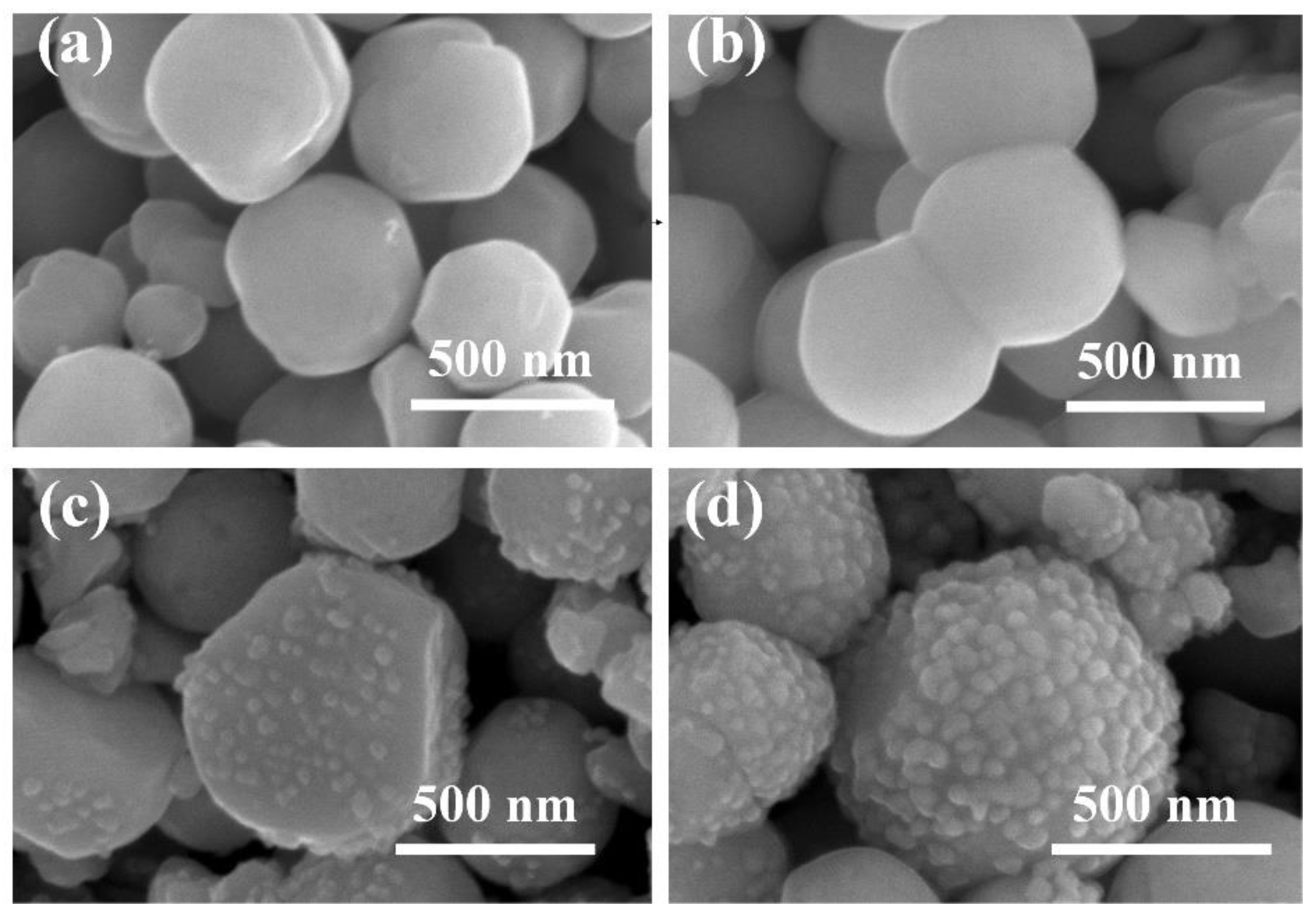 Chemosensors 11 00376 g002