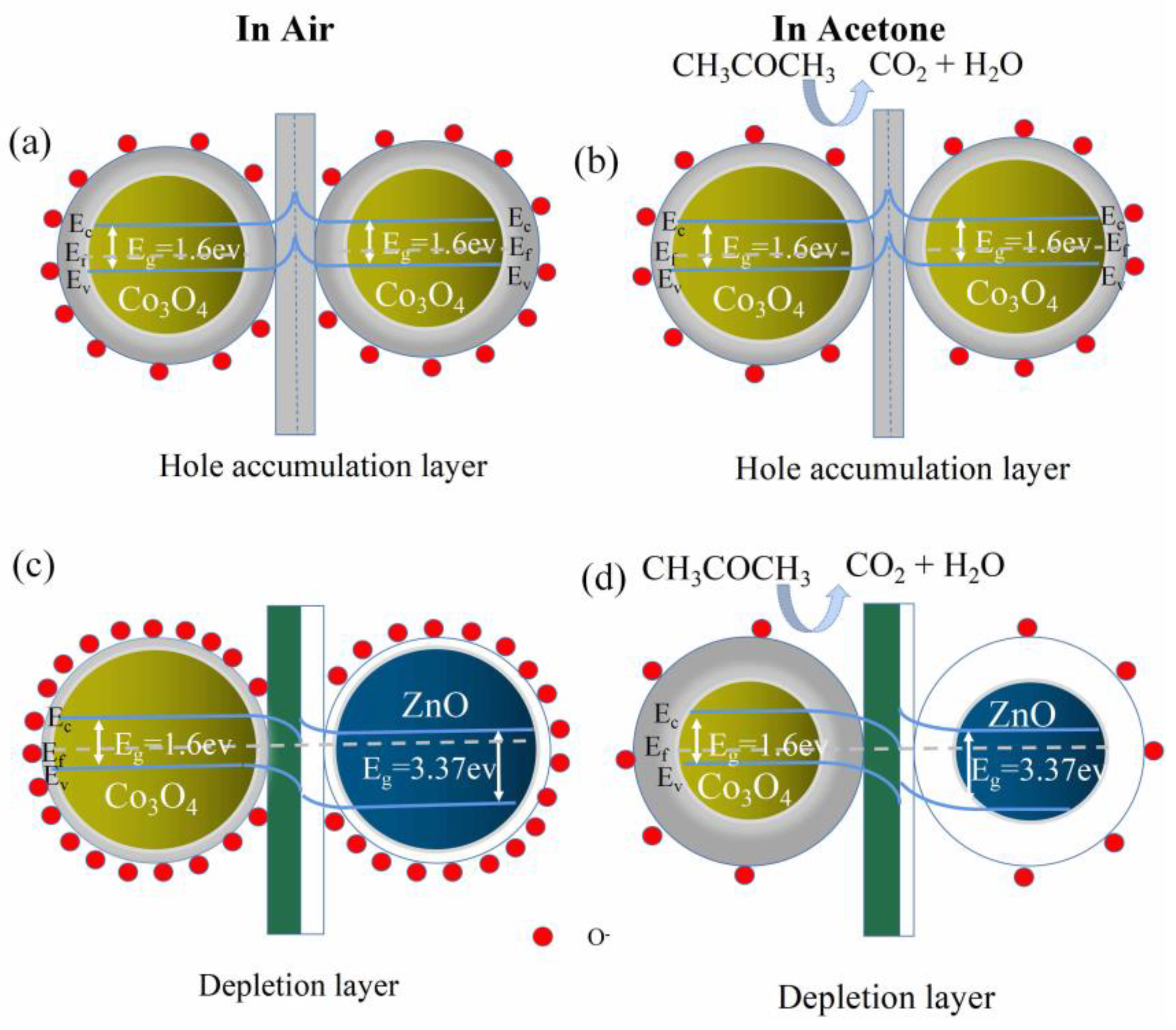 Chemosensors 11 00376 g010