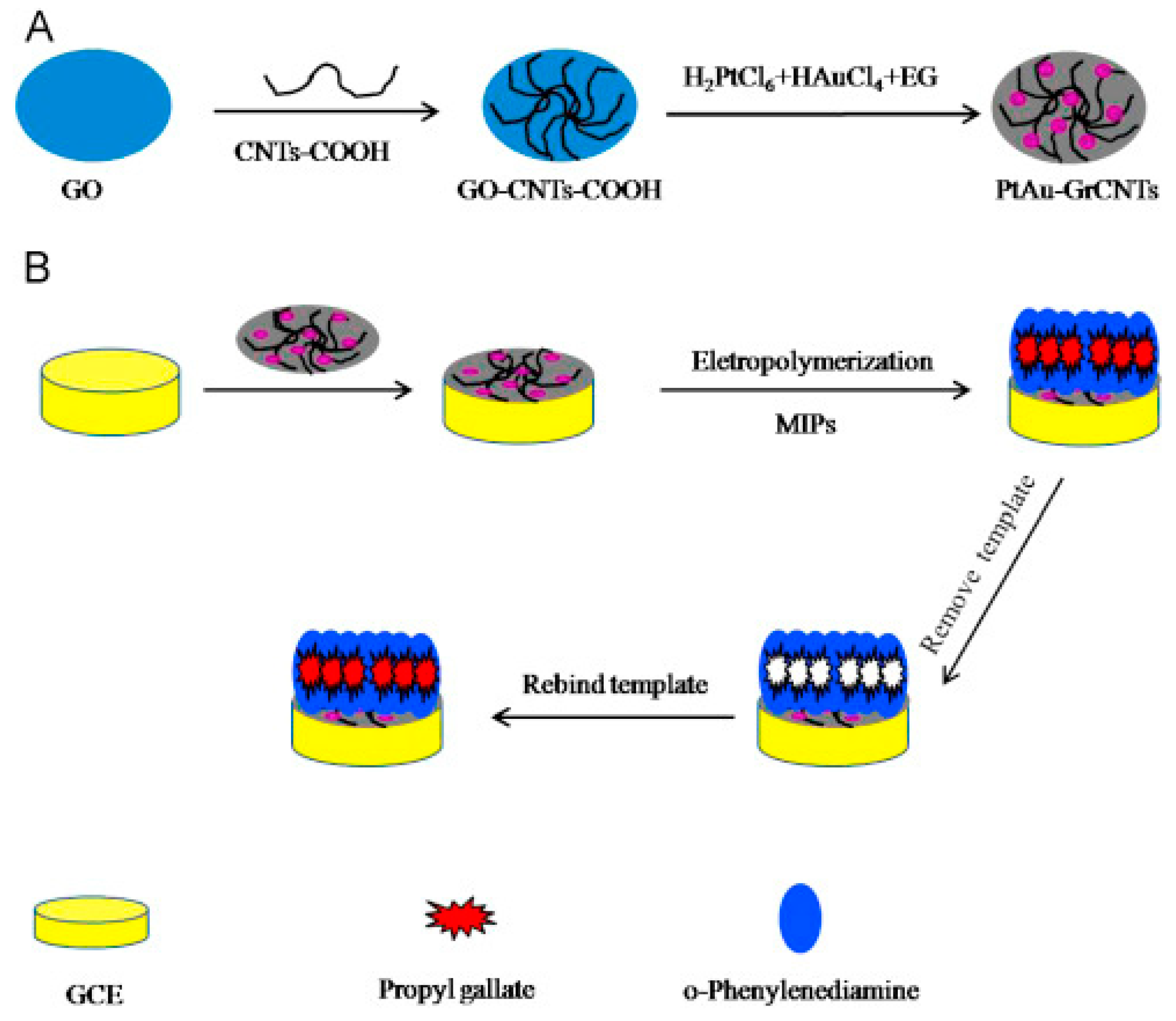 Chemosensors 11 00380 g002