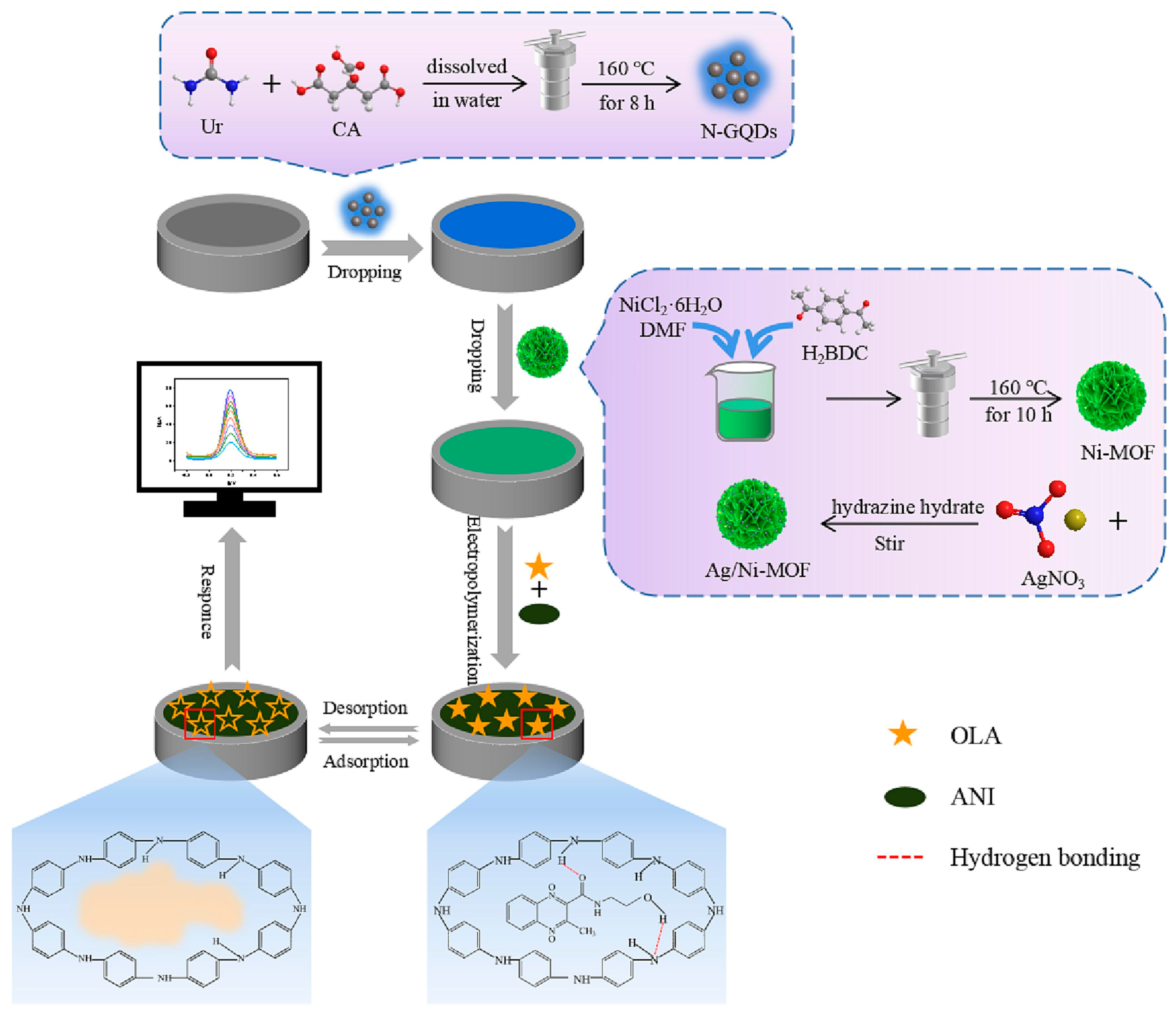 Chemosensors 11 00380 g005