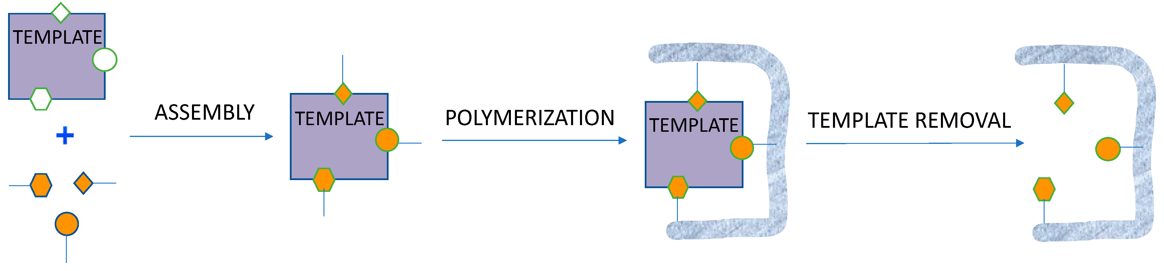 Chemosensors 11 00380 sch001