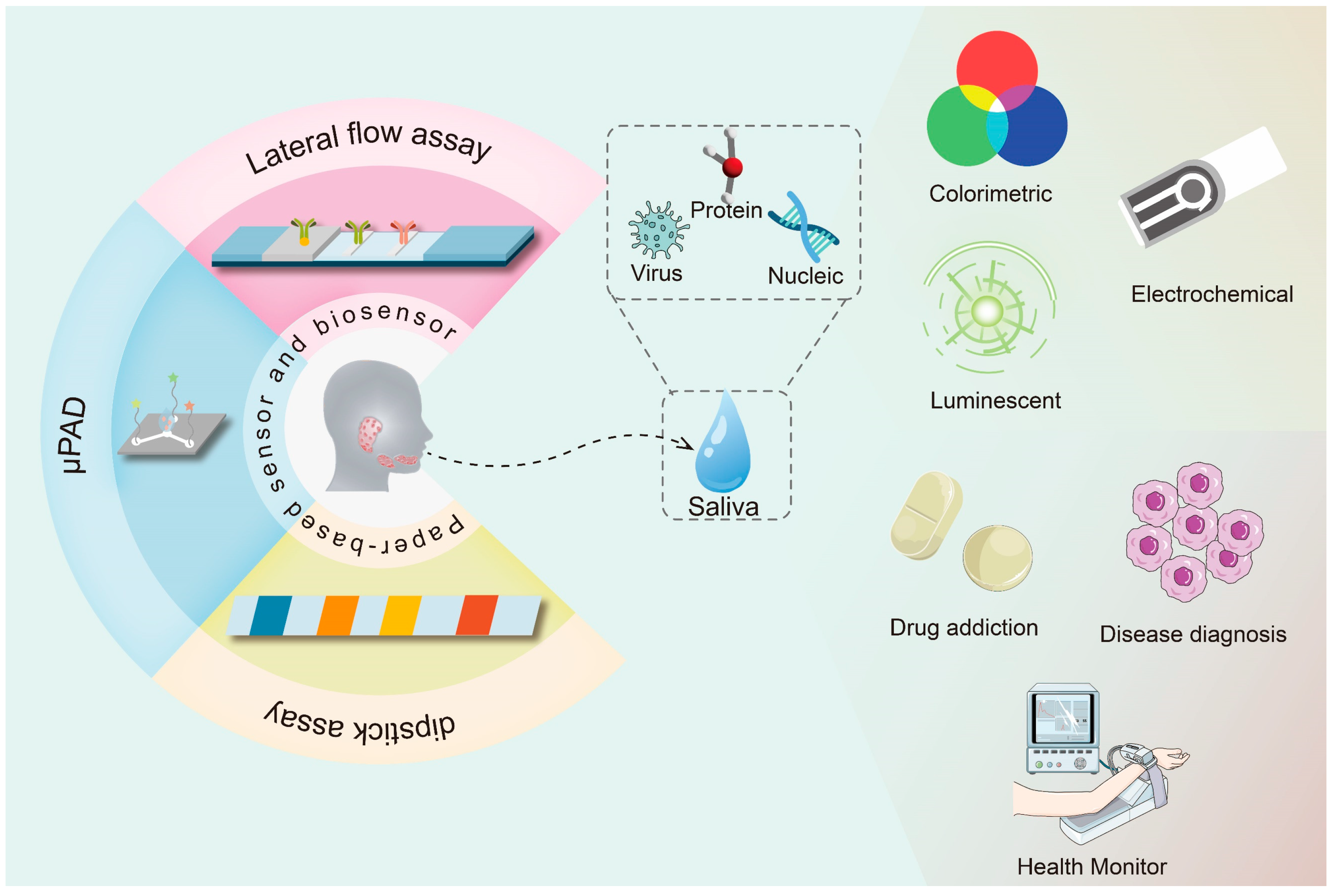 Chemosensors 11 00383 g001 Chemosensors 11 00383 g001