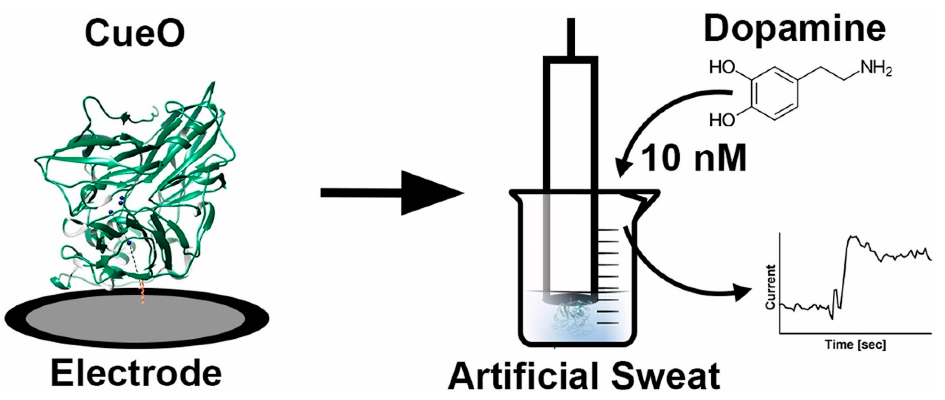 Chemosensors 11 00388 g009 Chemosensors 11 00388 g009