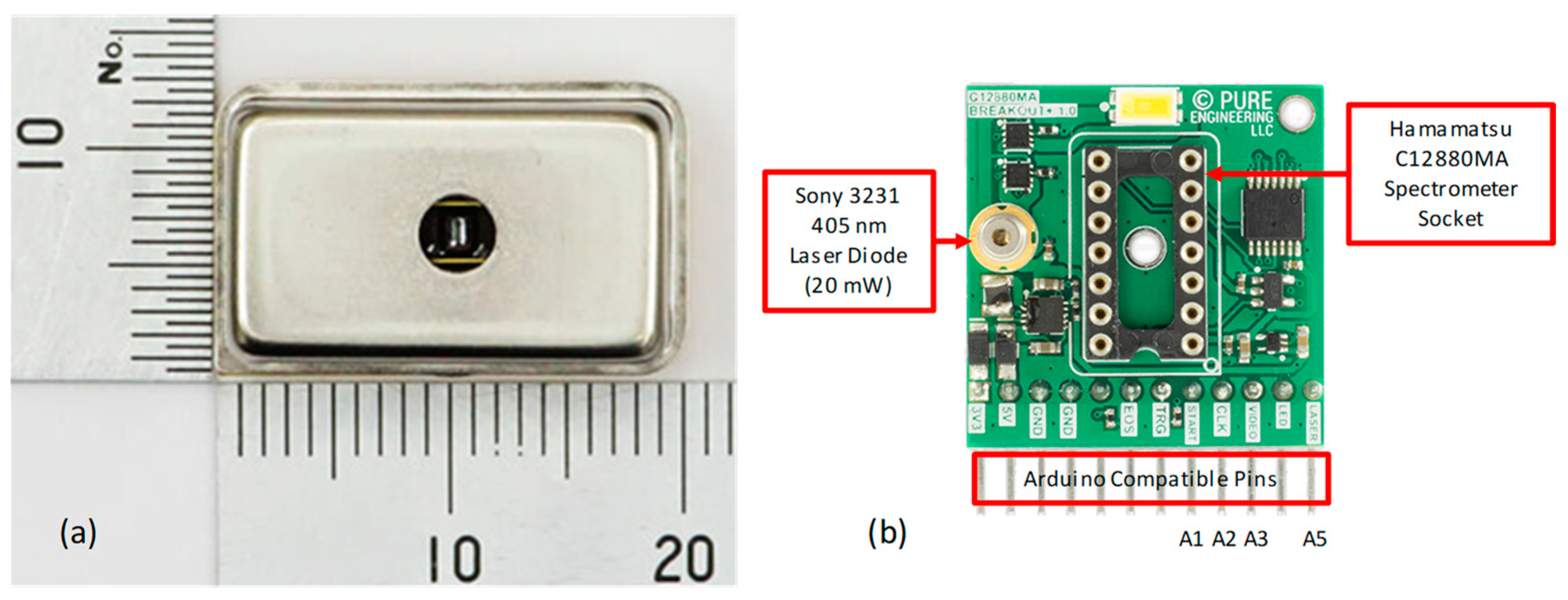 Chemosensors 11 00389 g001